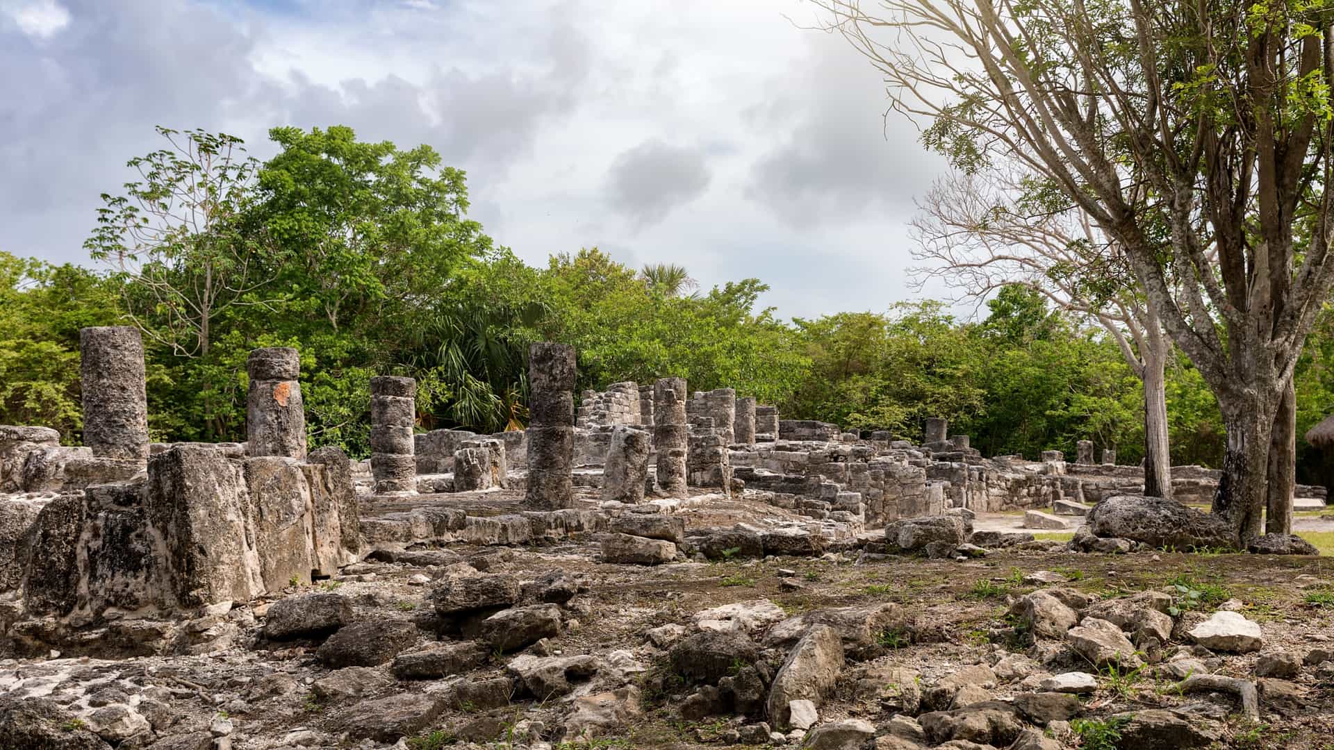 A view of the Mayan ruins at San Gervasio, an archaeological site on Cozumel, Mexico. The stone structures are set in a clearing within a lush jungle, reflecting their historical significance as a pilgrimage site.