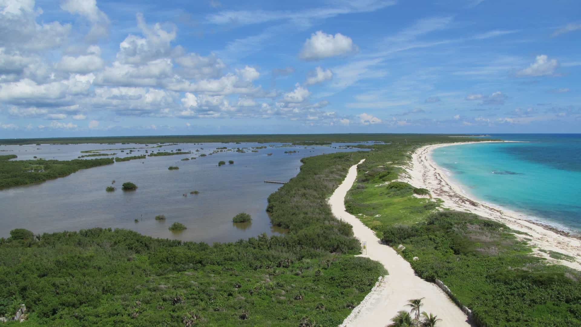 A panoramic view of the secluded Lagoon Beach at Punta Sur Eco Park in Cozumel, Mexico, showcasing a stretch of sugar white sand leading into shallow, crystal clear turquoise water. Lush green coastal vegetation and calm water contrast with the distant deep blue of the Caribbean Sea, illustrating the protected ecological environment.