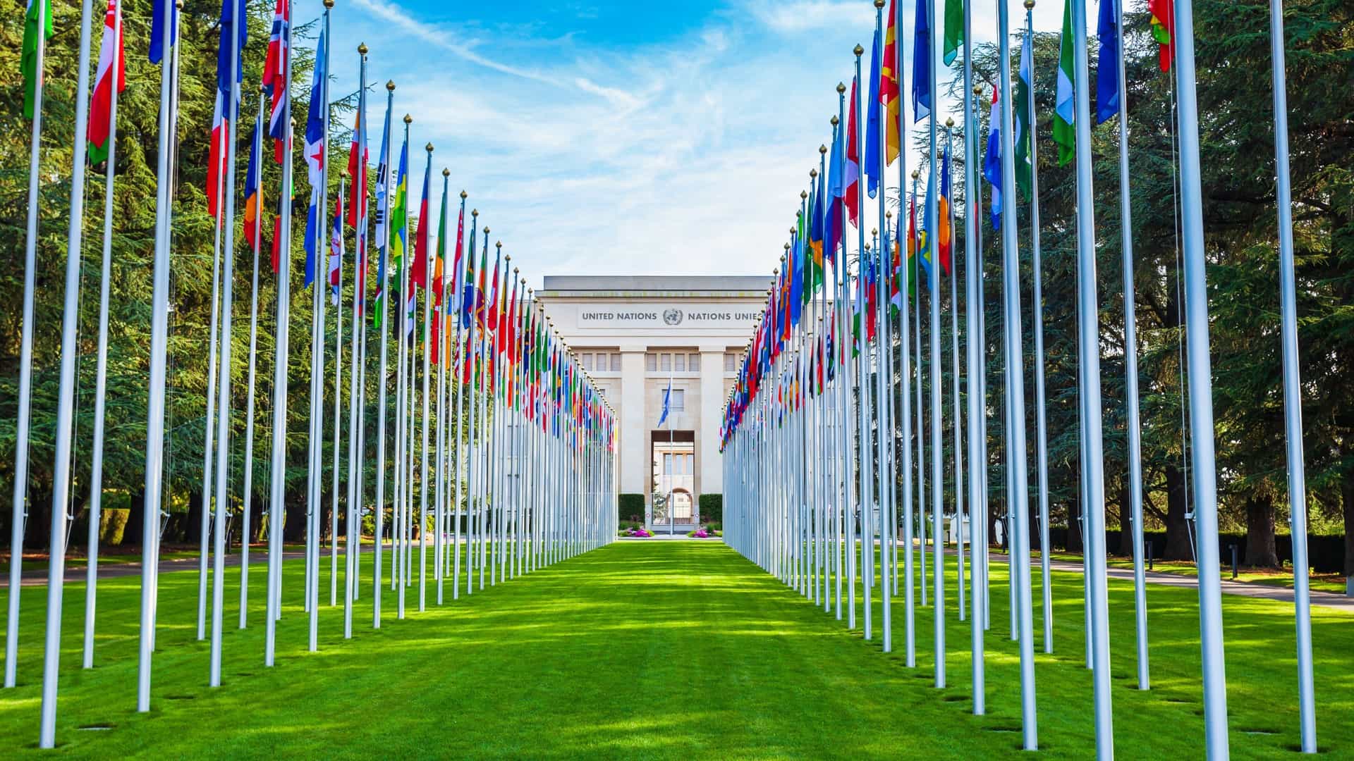 An exterior view of the Palais des Nations, which houses the United Nations Office at Geneva (UNOG). The grand, white administrative building is visible in the background, framed by a long, parallel line of flags from the UN member states, known as the Avenue of Flags, leading toward the main entrance.