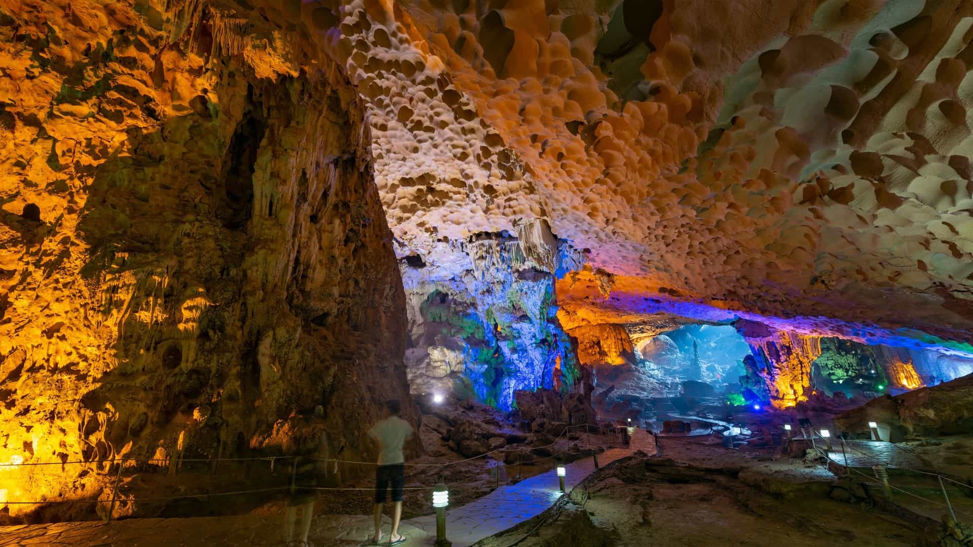 A vertical shot of the inside of Thien Cung Cave (Heavenly Palace Cave) in Ha Long Bay, Vietnam. The cave is a large, open space with an ornate, stalactite covered ceiling and walls. The formations are illuminated with a variety of colored lights, creating a mystical and otherworldly atmosphere. A path for visitors is visible on the cave floor.