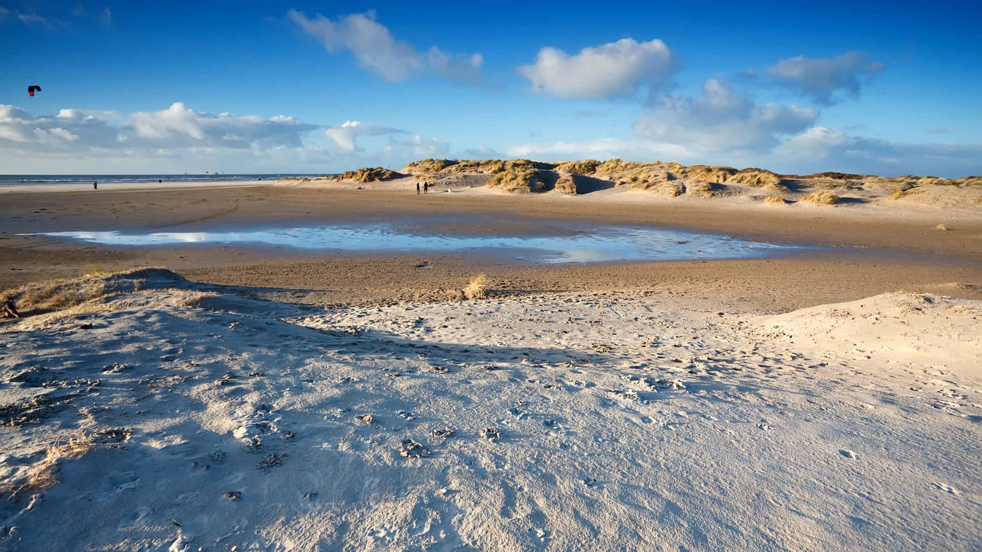 An expansive, sandy beach in IJmuiden, Netherlands, located on the North Sea coast. The wide, flat beach is visible, with a few beachgoers and a dog in the distance. The shoreline is bordered by grassy sand dunes, and the calm North Sea stretches out to the horizon under a bright sky. The image captures the peaceful and open atmosphere of the Dutch coastline.