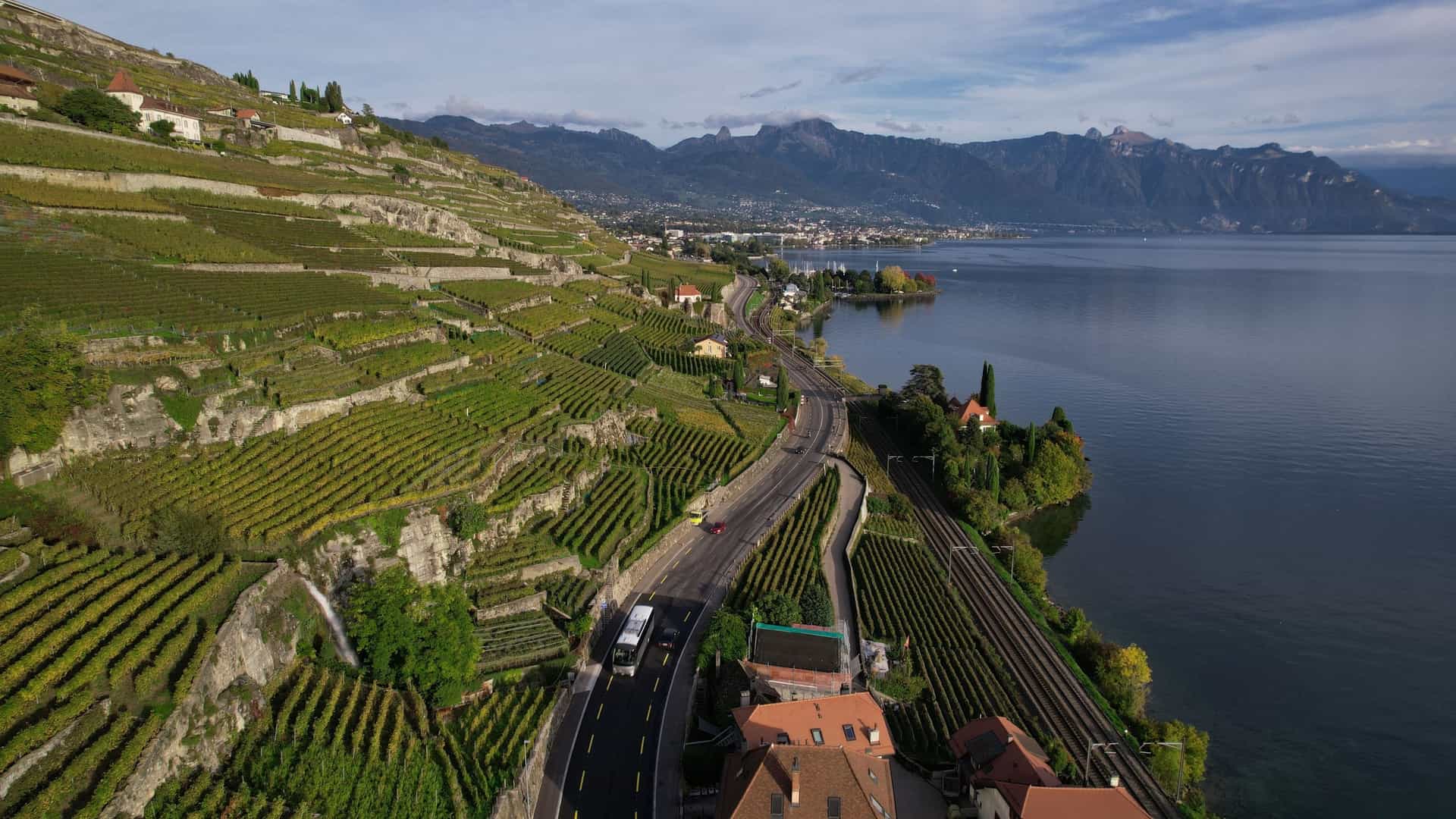 An aerial view of the terraced vineyards in the Lavaux region of Switzerland. The rows of grapevines are planted on steep hillsides overlooking the blue waters of Lake Geneva. In the background, the French Alps rise majestically.