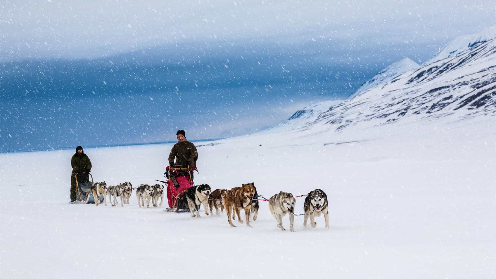A dog sled team, with a person standing on the back of the sled, moves across a vast, snow covered landscape. The team of dogs is pulling the sled through the white expanse, with mountains visible in the distance under a bright sky.