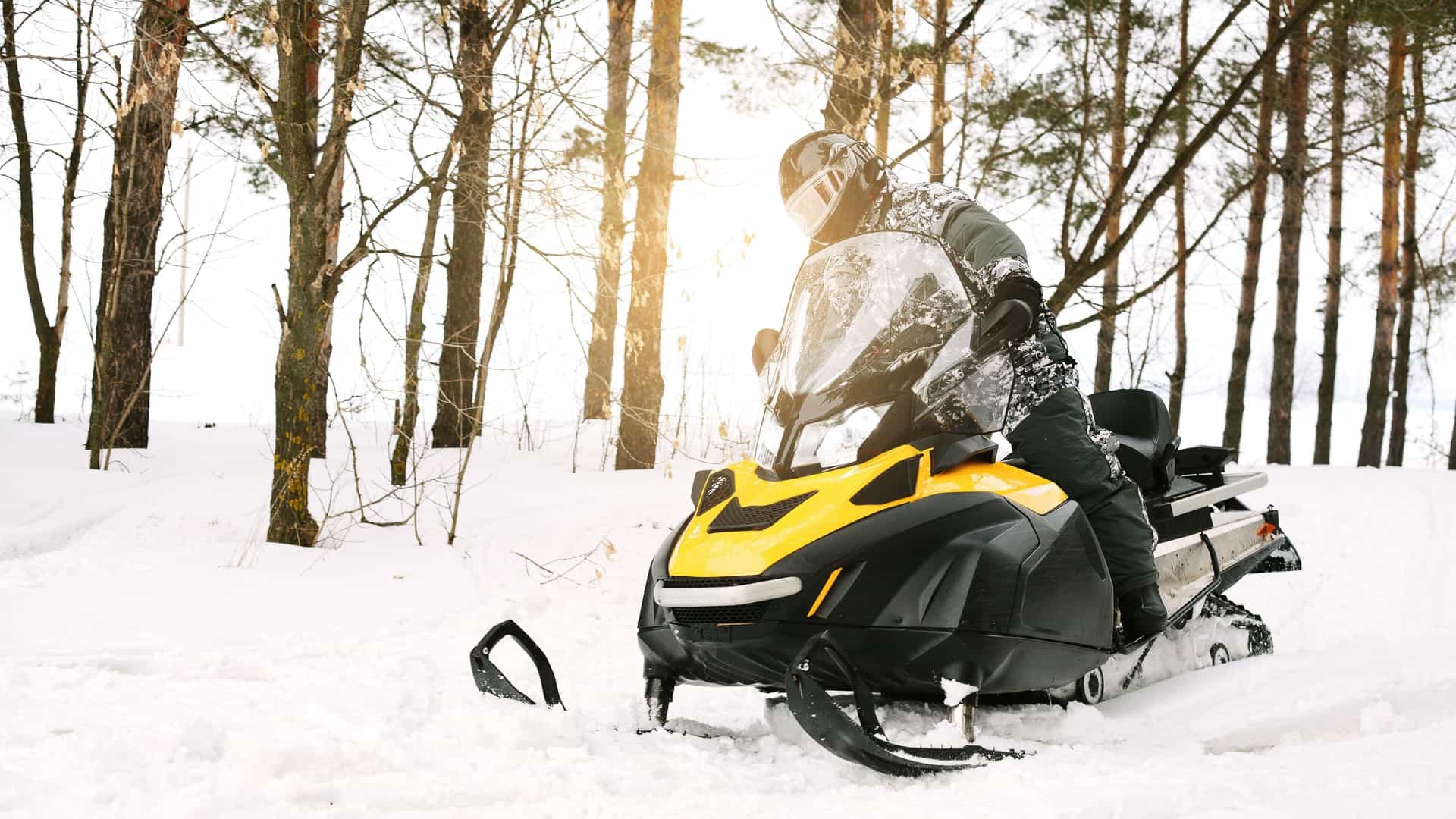 A person wearing a helmet and winter gear rides a snowmobile through a snowy landscape. The background features a forest with snow covered trees and a bright, sunny sky.