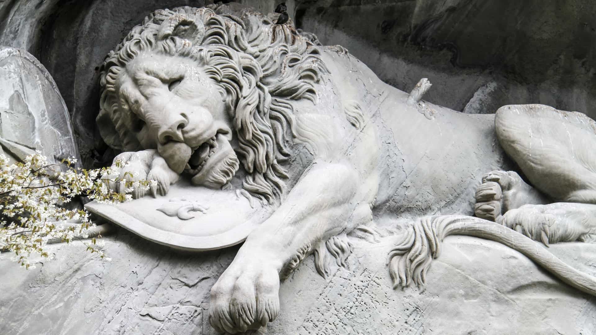 A close up photograph of the Lion Monument (Löwendenkmal), a rock relief in Lucerne, Switzerland. The sculpture, carved into a rock face, depicts a colossal, mortally wounded lion with a broken spear in its back. Its paw rests on a shield with the French monarchy's fleur de lis, and a second shield with the Swiss coat of arms is beside it. The monument is a memorial to the Swiss Guards who died in 1792 during the French Revolution. The carving is situated above a small pond, with a serene setting of rock, greenery, and water.