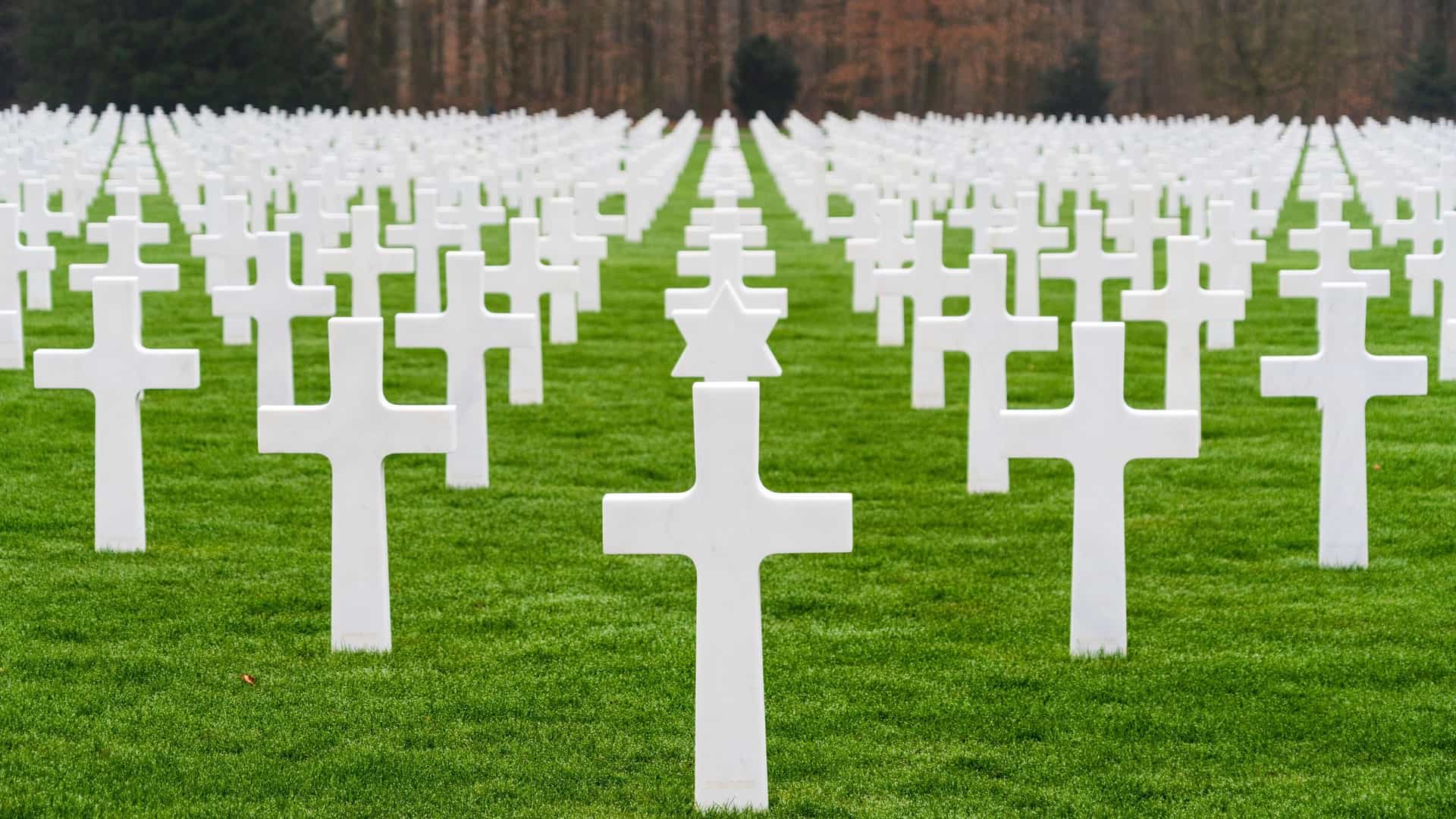 A serene, wide angle view of the Luxembourg American Cemetery. The image shows a vast, green lawn with a sprawling, fan shaped arrangement of white marble Latin crosses and Stars of David marking the graves of American soldiers. The graves stretch out towards a memorial chapel in the distance, and the entire cemetery is bordered by a forest of trees.