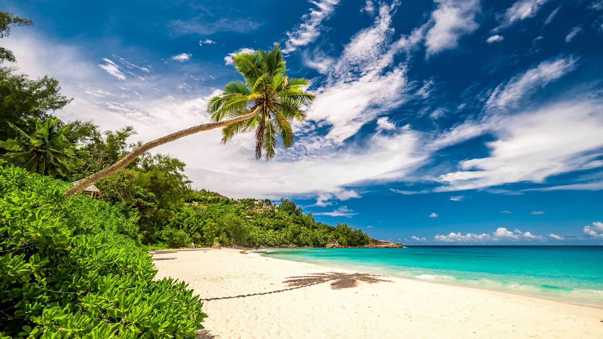A scenic view of Anse Intendance beach on Mahé Island, Seychelles. The image shows a wide stretch of pristine white sand bordered by a line of dense tropical trees and large granite boulders. The turquoise blue water of the Indian Ocean meets the shore with powerful waves, reflecting the absence of a protective coral reef.