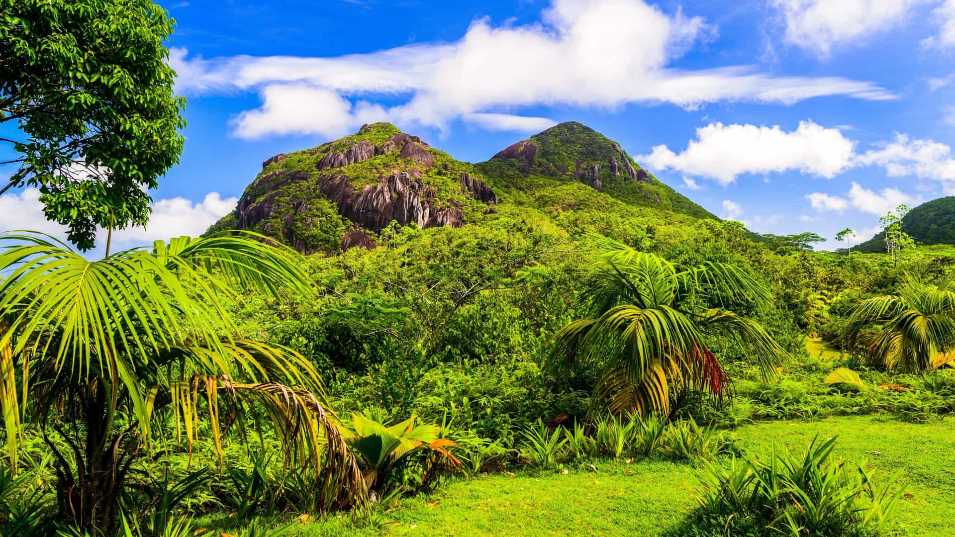 A panoramic scenic view captured from a high elevation within the Morne Seychellois National Park on Mahé Island, Seychelles. The image shows a vast, dense expanse of lush tropical rainforest and jungle covering dramatic, steep, green granite mountains and hillsides. In the background, the turquoise Indian Ocean meets the coast, and a scattering of white clouds hangs over the mountain peaks under a bright sky. The vantage point may be from a popular lookout like the Mission Lodge (Venn's Town) or Copolia Trail.