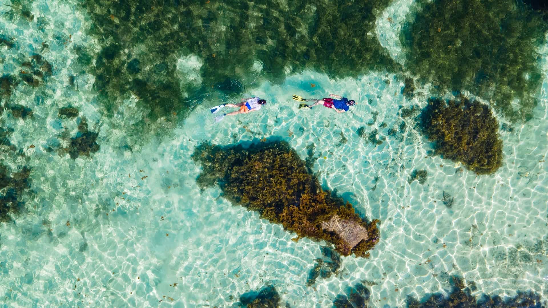 A couple snorkeling in the ocean near the beach of Anse Volbert on Praslin Island in Seychelles. The image shows a man and a woman in the clear turquoise water, with a beautiful white sand beach and lush palm trees visible in the background. The scene captures a tropical island vacation activity.