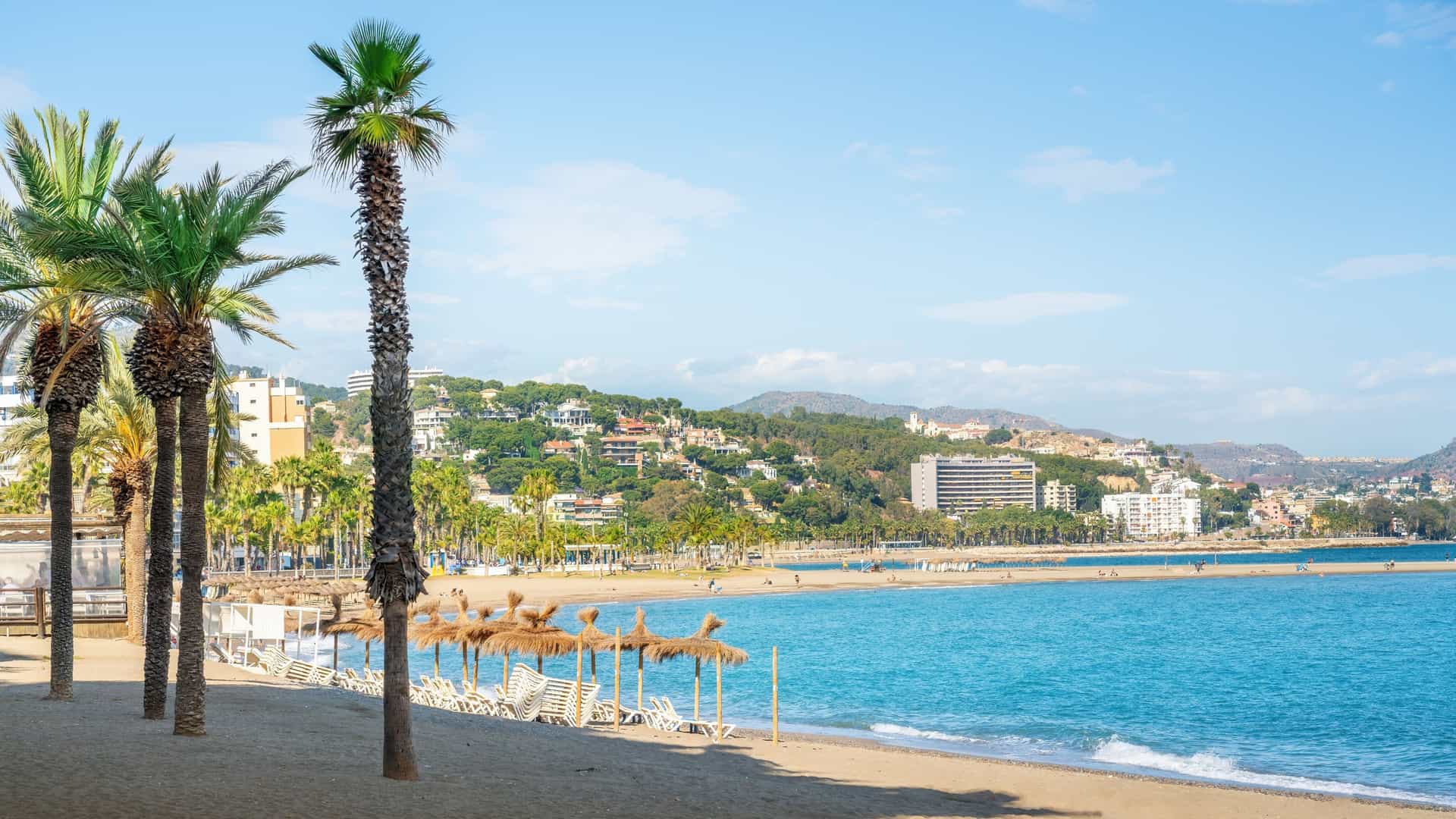 An urban beach scene at La Malagueta beach in Málaga, Spain, located on the Costa del Sol. The photo shows a wide stretch of dark sand with a palm lined promenade in the background. The beach is a popular spot for both tourists and locals, known for its proximity to the city center and its lively atmosphere.