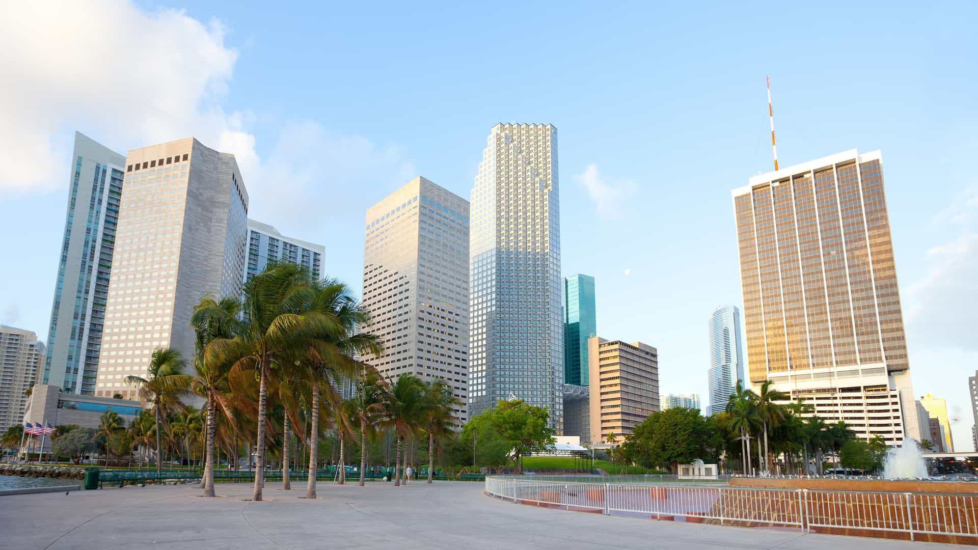 A daytime photo of the downtown Miami skyline seen from the waterfront Bayfront Park along Biscayne Bay. The image captures the dense cluster of modern skyscrapers and high-rise buildings that make up the central business district. In the foreground, the green space of the park is visible, often including palm trees, walkways, and the bay's tranquil water reflecting the towering city. The perspective emphasizes the contrast between the urban architecture and the natural bay area.