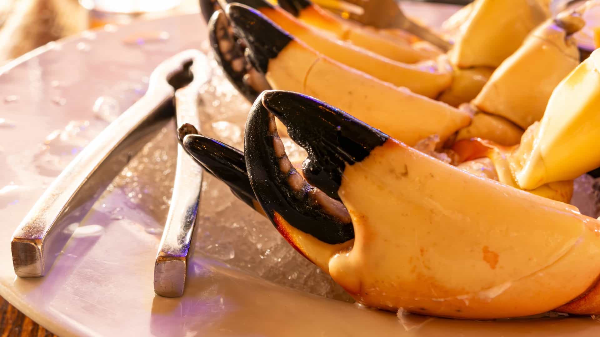 A high-angle studio shot of a plateful of large, cooked Joe's Stone Crab claws ready to be eaten. The cracked, orange-and-black claws are piled on a white dish, often arranged on a bed of ice to keep them chilled. A small bowl of dipping sauce (typically a mustard-based sauce) and a lemon wedge are usually included on the plate or next to it, set against a dark or neutral background to make the seafood the main focus.