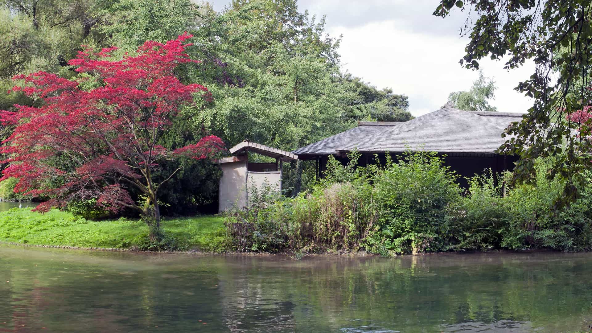 A scenic view of the Kanshoan, a traditional Japanese tea house, situated on a small island in the English Garden of Munich, Germany. The wooden structure with its tiered roof is surrounded by calm water and lush greenery, including bamboo plants. A small bridge or path leads to the tea house, and a stone lantern is visible nearby. The overall scene conveys a sense of tranquility and cultural serenity.
