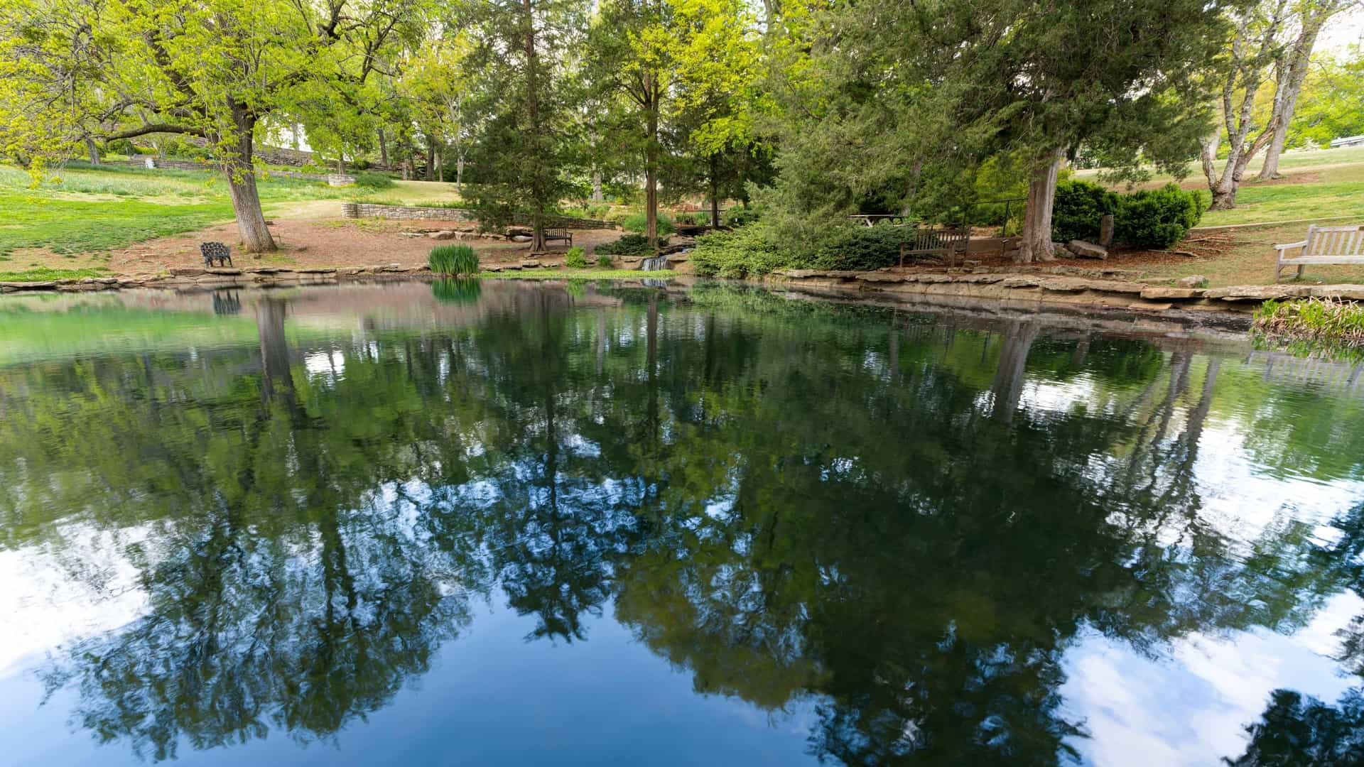 A tranquil view of the Robinson Family Water Garden at Cheekwood Estate & Gardens in Nashville. The image shows one of the three man-made ponds, with a small waterfall or stream connecting it to another pool. The water is surrounded by green, maintained shrubbery and trees against a bright sky, emphasizing the peaceful, naturalistic landscaping.