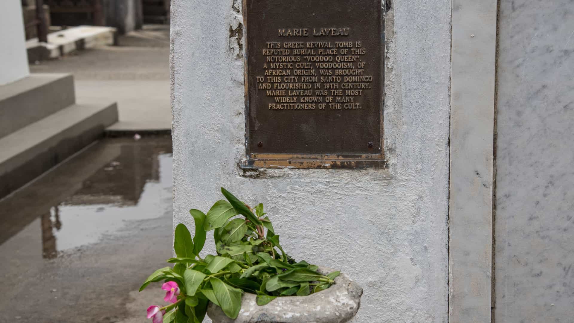 A close-up of a white, plastered crypt or tomb in a New Orleans cemetery, featuring a bronze plaque with the inscription "MARIE LAVEAU." The plaque describes her as a famous Voodoo Queen of the 19th century. Below the plaque, a weathered stone planter holds greenery and a pink flower, representing an offering from a visitor. The background shows the wet ground and other tombs.