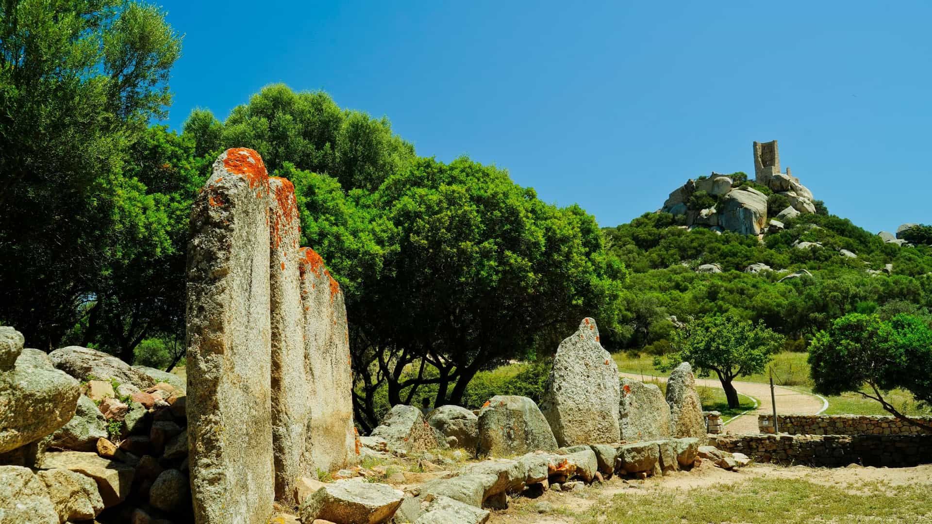 A sunny, outdoor view of the ancient Giants' Grave of Su Monte 'e S'Ape (Tomba dei Giganti) near Olbia, Sardinia, Italy. In the foreground are the vertical granite slabs that form the ceremonial exedra of the Nuragic burial site. The background shows a rocky, green, tree-covered hill crowned by the ruined stone watchtower of the Medieval Castle of Pedres.