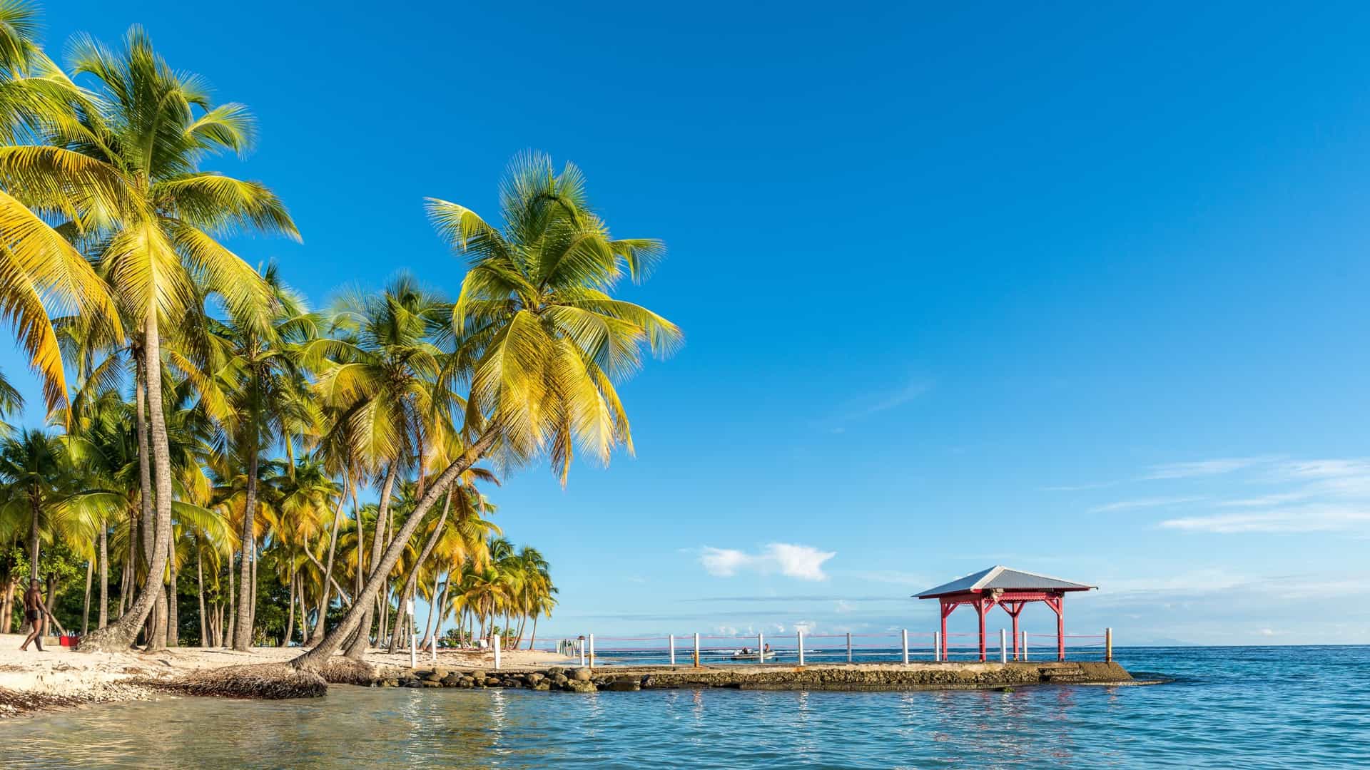 A classic Caribbean beach scene at Plage de la Caravelle in Sainte-Anne, Guadeloupe, featuring a wide curve of white sand, crystal-clear turquoise blue water protected by a coral reef, and a shoreline lined with gently swaying coconut palm trees.