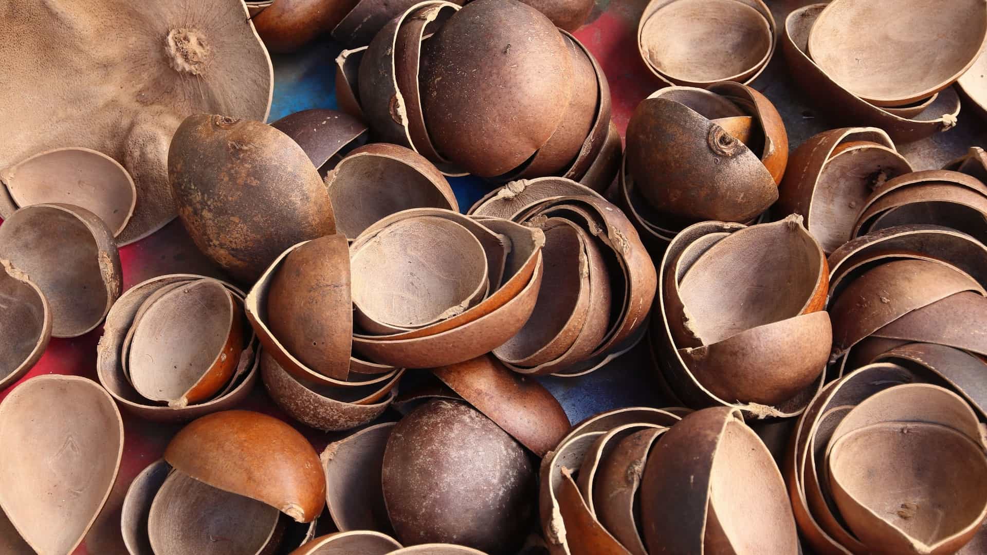 A close-up, overhead view of a large pile of dark brown, dried, and broken calabash gourds or shells, many of them split into halves or pieces, displayed in a local products shop in Pointe-à-Pitre, Guadeloupe. These items are possibly intended for use as small bowls, utensils, or musical instruments. The natural textures and varying shades of brown dominate the scene.