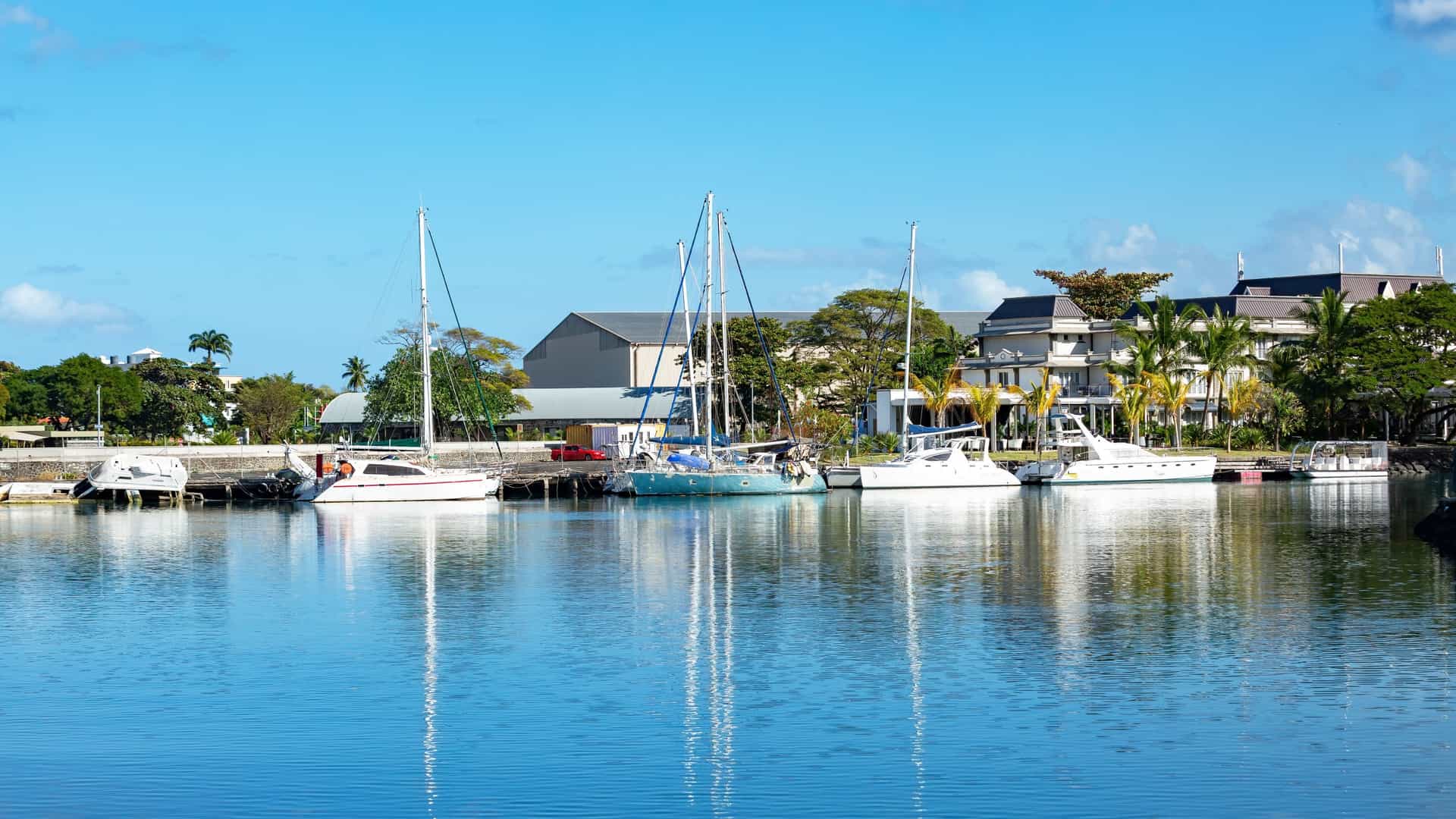 A serene photograph of a marina in Port Louis, Mauritius. Numerous small and medium-sized white yachts and pleasure boats are moored closely together in the calm, blue harbor waters, suggesting the opportunity to Take a Boat Tour Around the Harbor. The modern buildings of the Port Louis waterfront line the background, with a green, rugged mountain ridge visible in the distance under a sunny, clear sky.