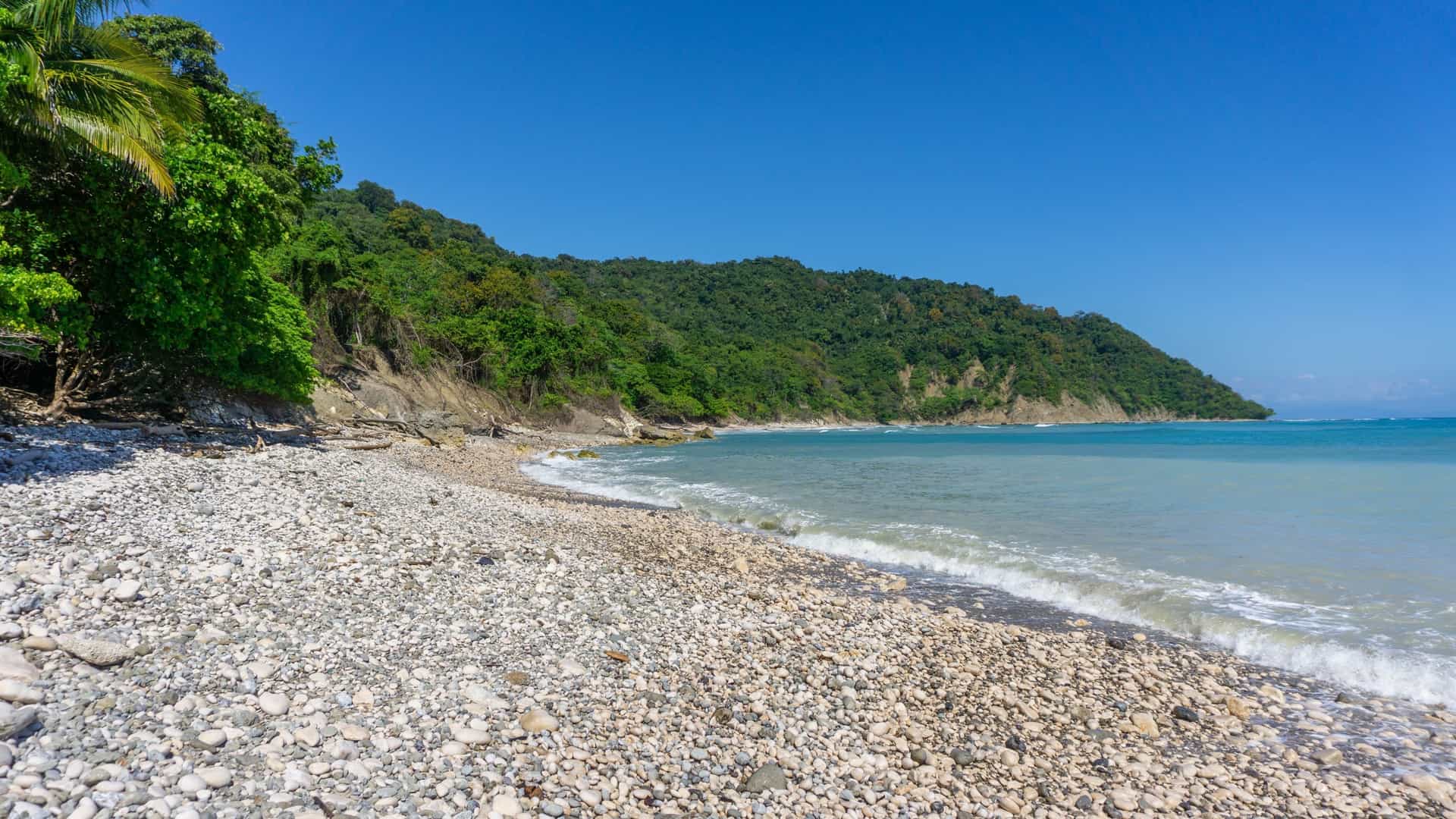 A photograph of the rugged, undeveloped coastline within the Cabo Blanco Absolute Natural Reserve, Costa Rica. The foreground features large, dark gray rocks and stones leading down to the ocean. The clear blue water of the Pacific meets the land with white foam, and the background shows a hillside covered in dense, dry-season tropical forest under a bright sky.