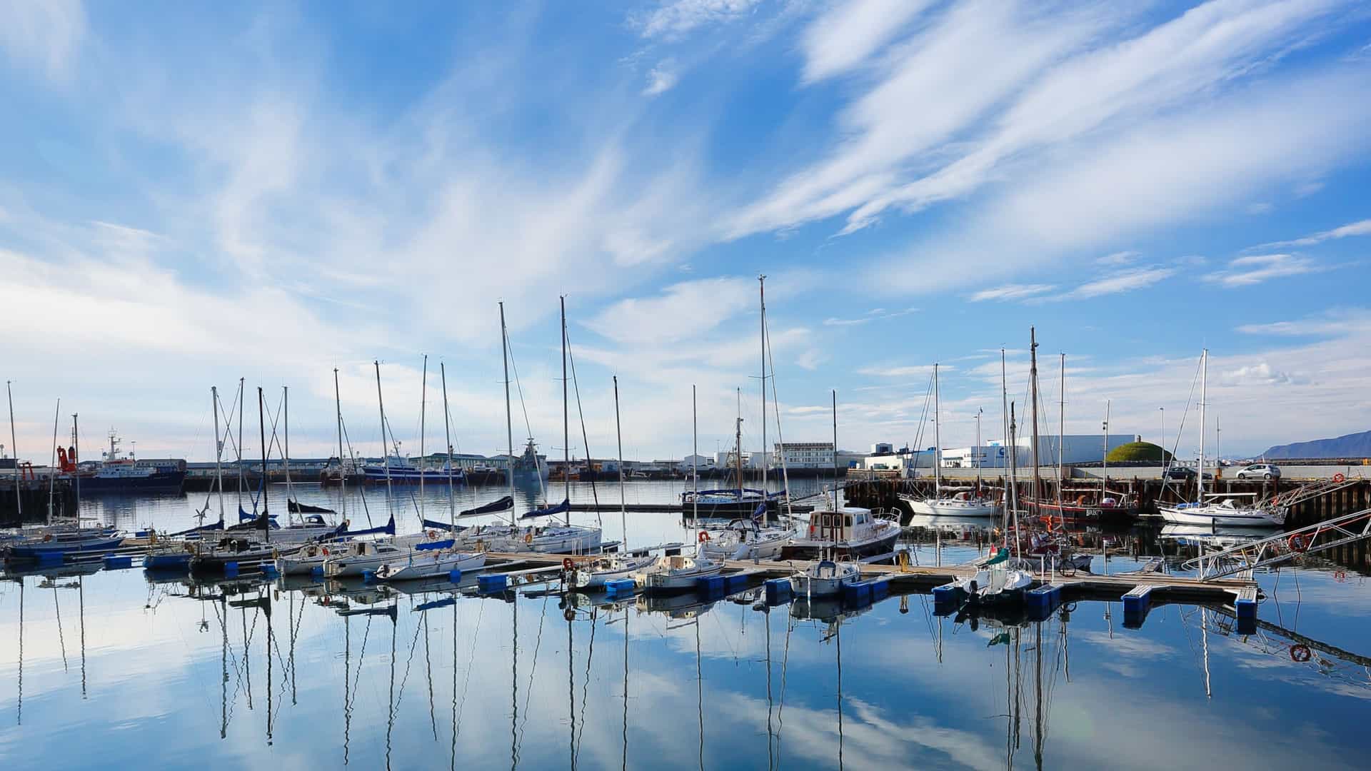 The Reykjavik harbor on a sunny afternoon shows a collection of colorful fishing and tour boats docked in the water. In the background, there is a low rise cityscape with Mount Esja visible across the Faxaflói Bay under a clear, bright sky.