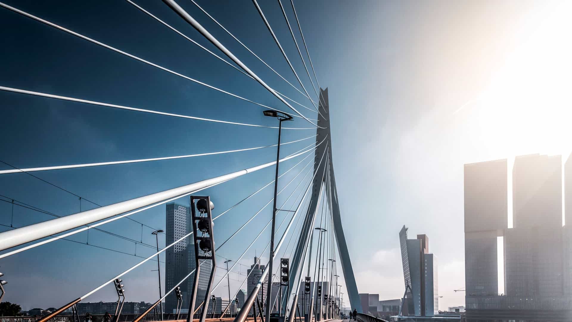 A daytime view of the iconic Erasmus Bridge, nicknamed "The Swan," spanning the Nieuwe Maas River in Rotterdam, Netherlands. The cable stayed bridge features a striking, asymmetrical, pale blue pylon with a prominent lean. The bridge connects the city center to the Kop van Zuid district, which is lined with modern high rise buildings and skyscrapers visible in the background.