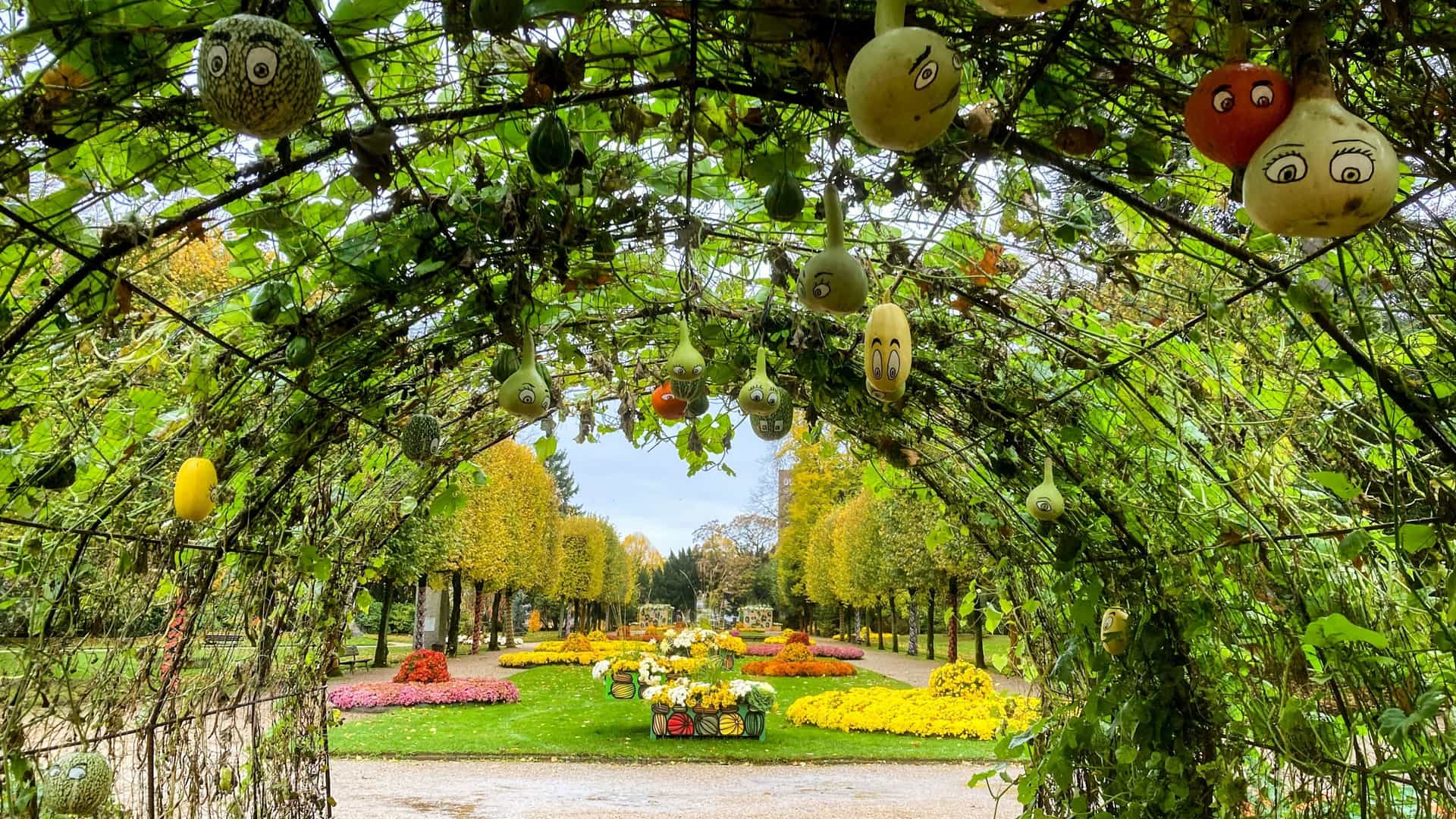 A view of the Jardin des Plantes (Botanical Garden) in Rouen, France, showing a landscaped area with well maintained flower beds and grassy lawns. In the background, one of the historic tropical greenhouses (such as the central greenhouse or a palmarium) is visible, its glass and metal structure housing diverse plant species. The garden also features walking paths and mature trees.