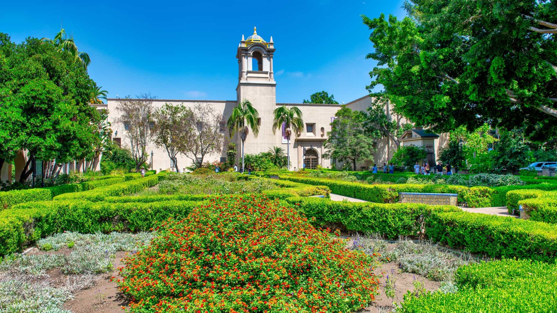 A beautiful, scenic view of Balboa Park's historic urban and cultural center in San Diego, featuring the highly ornamental Spanish Colonial Revival architecture of a prominent building, lush green gardens, and mature palm trees under a sunny sky.