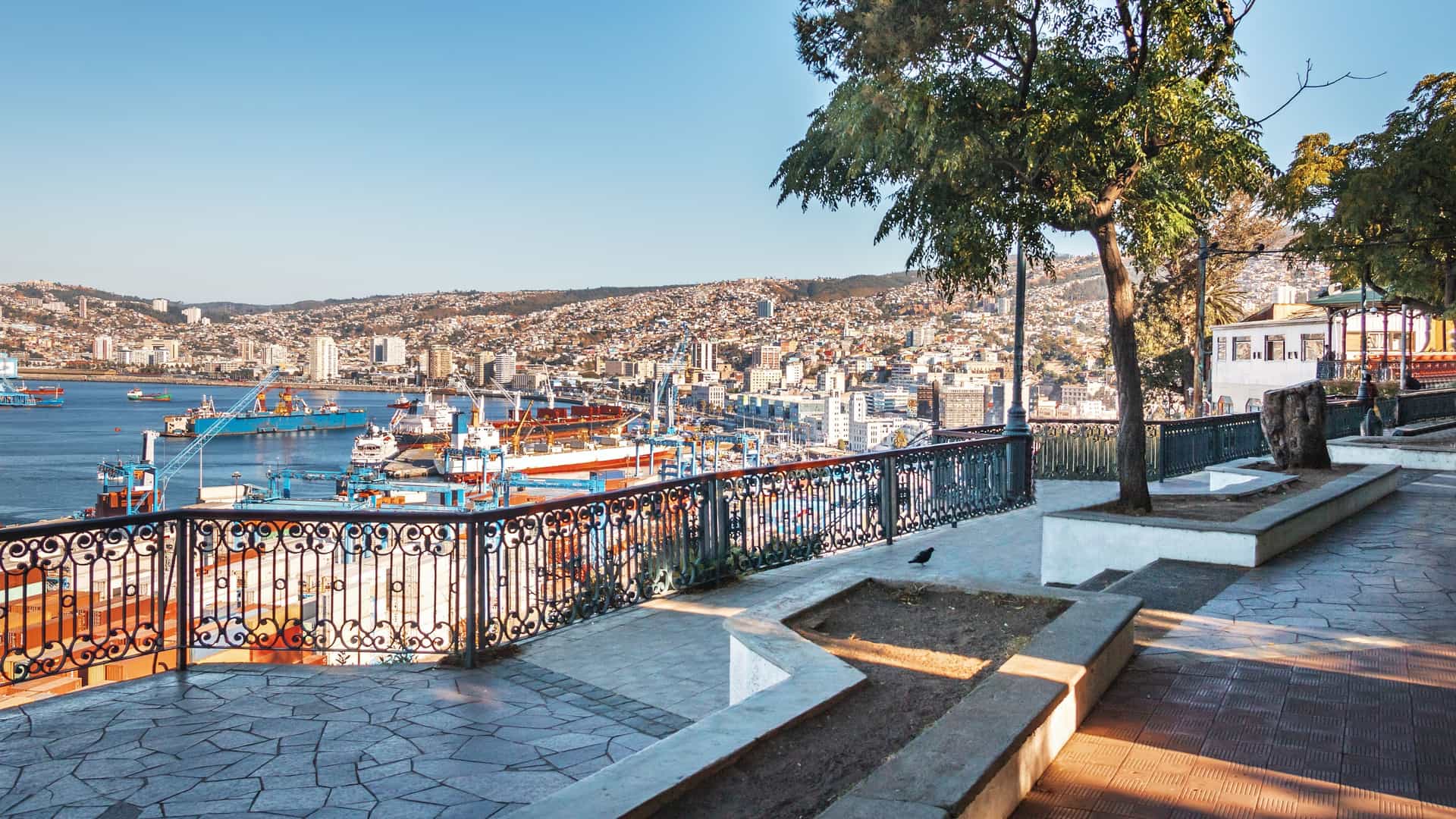 A vibrant panoramic view from the Paseo 21 de Mayo viewpoint on Cerro Artillería in Valparaíso, Chile. The image captures the sprawling cityscape of multi colored houses clinging to the steep hills, descending to the flat coastal area, which includes the active commercial harbor and the vast Pacific Ocean beyond. The foreground may include the viewpoint's observation deck or railings.