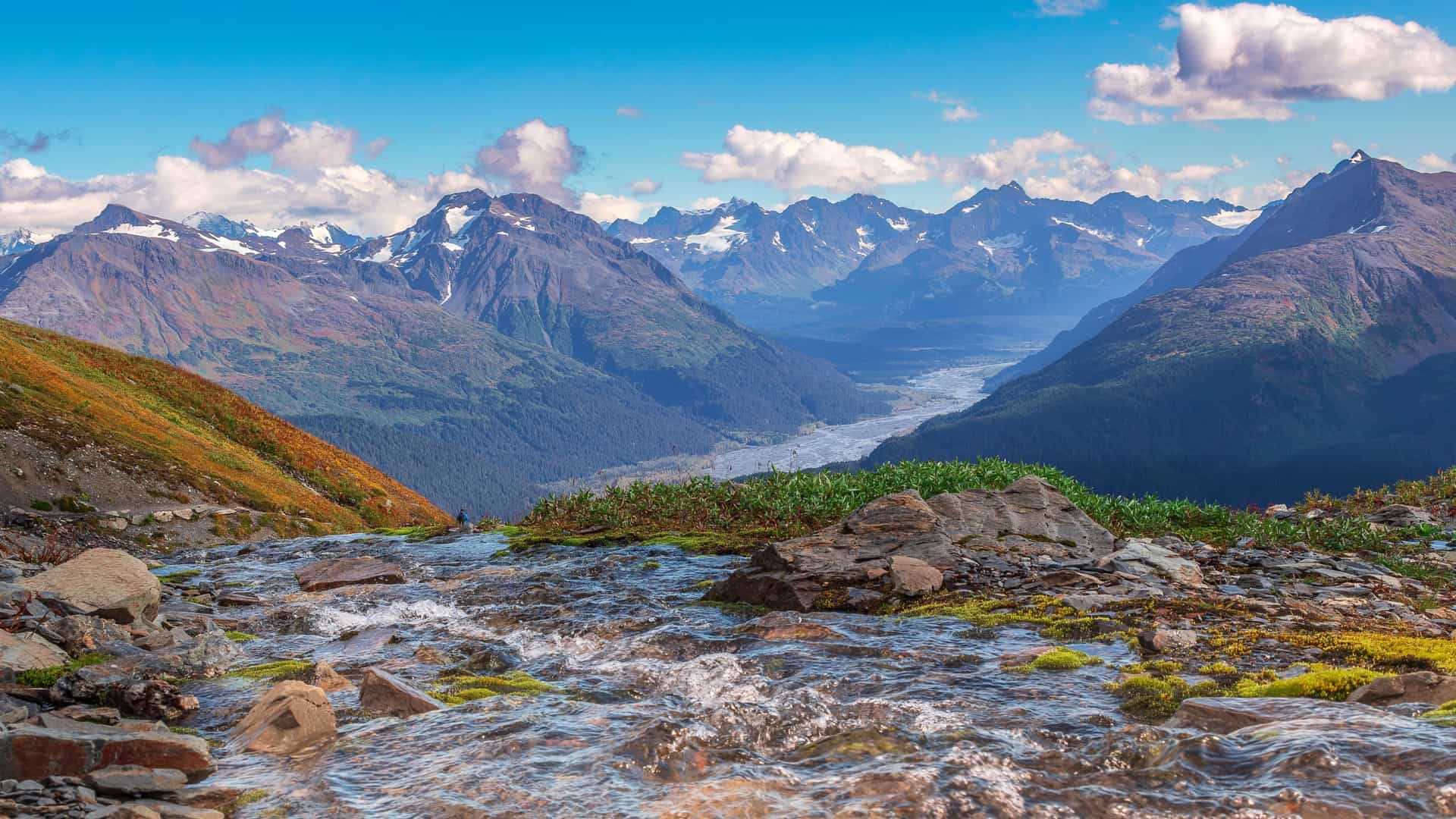 A scenic view of Kenai Fjords National Park in Seward, Alaska, showing a dramatic fjord with dark, forested mountains rising directly out of the deep blue water. The peaks in the distance are snow covered under a clear sky, highlighting the rugged, glaciated landscape.