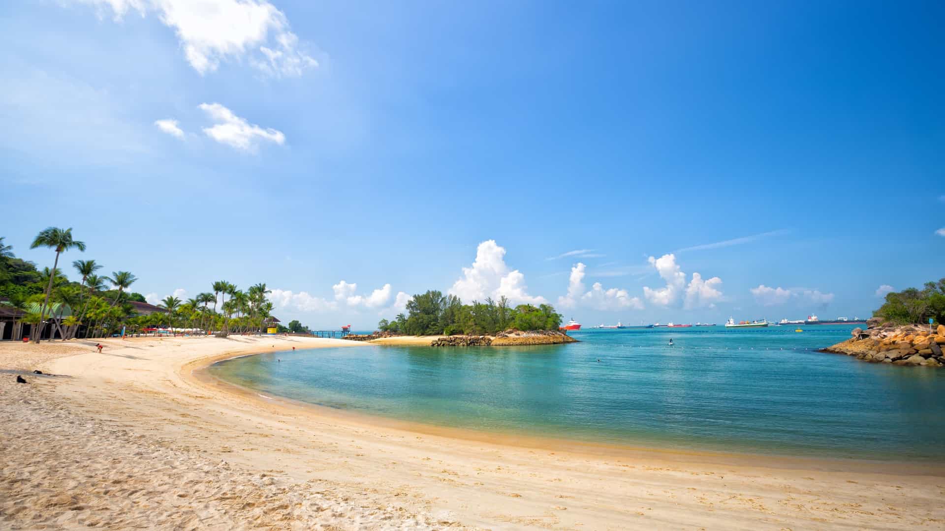A scenic, horizontal shot of a tropical beach on Sentosa Island, Singapore, likely Palawan Beach or Siloso Beach. The image features white gold sand stretching toward calm, blue green turquoise water. A row of lush, tall palm trees borders the beach on the left, with dense green foliage in the background under a bright, clear sky.