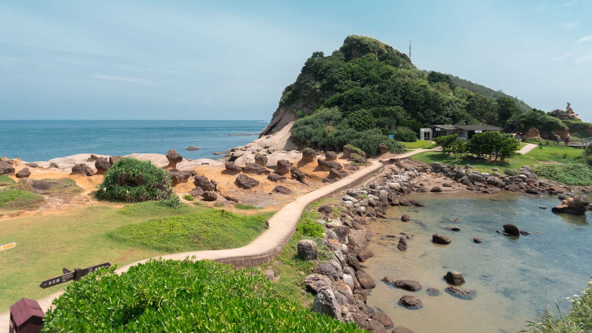 A scenic view of the Yehliu Geopark in Taiwan, showcasing the unique geological landscape of the peninsula. The foreground is dominated by numerous strange looking, mushroom shaped hoodoo rock formations (like the famous 'Ginger Rocks' or 'Mushroom Rocks') scattered across a flat, rocky coastal platform. The formations are a light brown and grey color, contrasted against the deep blue ocean and the distant, hazy coastline. A path for visitors is visible among the rocks.