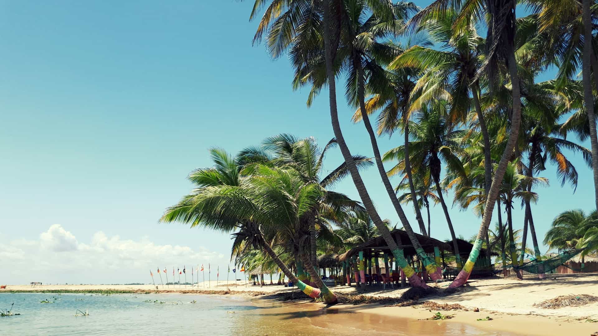 A serene, tropical landscape photo of the Freshwater Beach at Ada Foah, Ghana, located at the mouth of the Volta River. The image shows a wide sandy beach lined with tall palm or coconut trees, with calm blue water in the foreground, highlighting the tranquil environment of the river and ocean confluence.