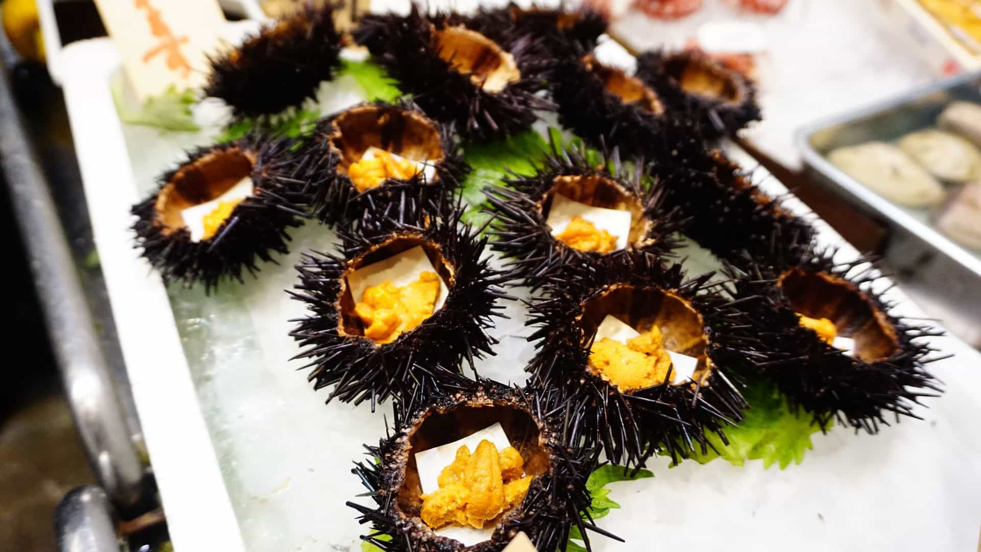 A close up view of fresh Uni (sea urchin roe), with its bright orange yellow lobes, arranged neatly in a wooden box display. The photo captures the rich color and delicate texture of the high quality Japanese seafood delicacy.