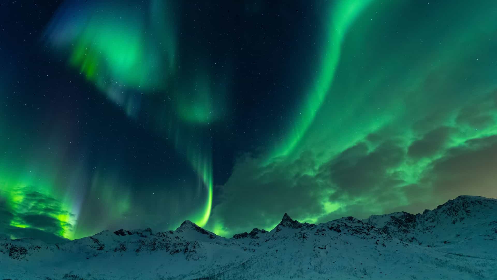 A stunning night photograph of the Aurora Borealis (Northern Lights) with vibrant, massive bands of green light stretching across the dark, starry sky. The brilliant green light is reflected on the calm water of the sea or a fjord, with the dark silhouette of a shoreline or snow covered mountains visible below.