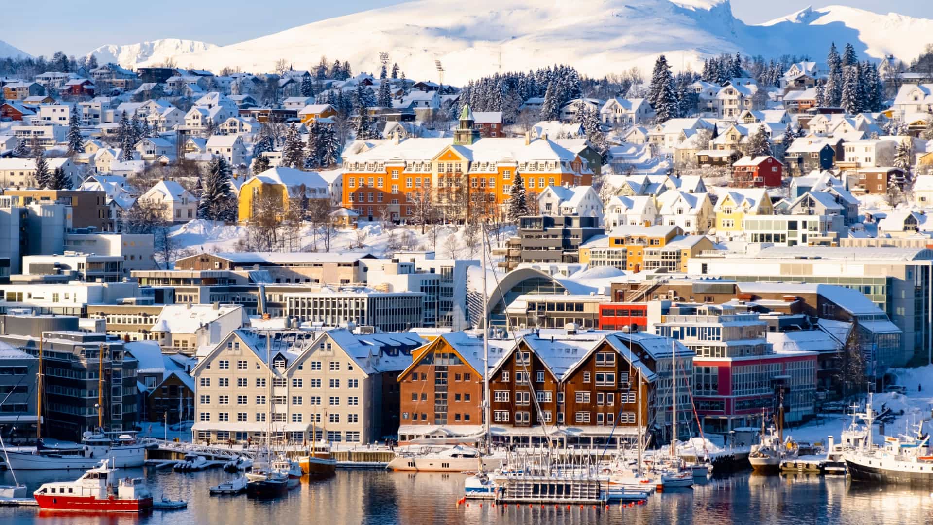 A panoramic view of Tromsø, Norway's harbor on a sunny day. The waterfront is lined with a row of colorful buildings, and a large cruise ship is docked in the fjord. The city is framed by the dark, dramatic water and towering, snow covered mountains in the distance.