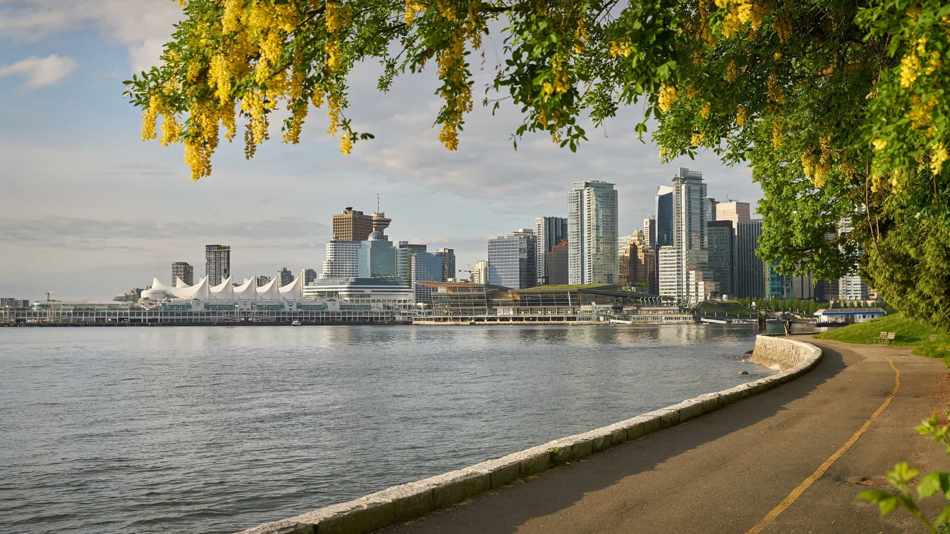 A clear, sunny view of the Vancouver skyline as seen from the Stanley Park Seawall, specifically across Coal Harbour in British Columbia, Canada. The image features the foreground of the park's shoreline, with the tranquil water reflecting the backdrop of the dense cluster of downtown skyscrapers.