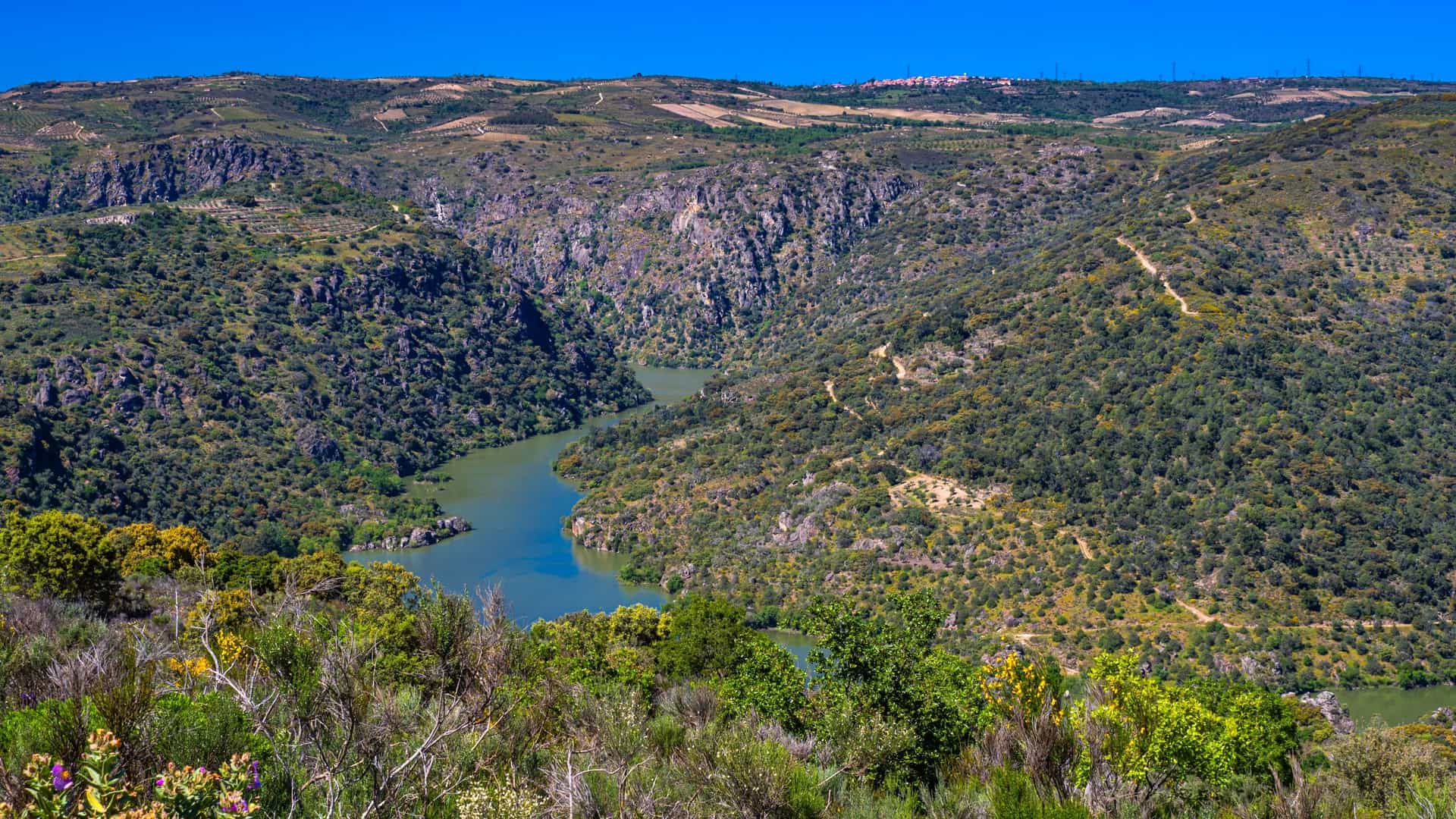 A breathtaking panoramic view from the Arribes del Duero Natural Park, showing the deep gorge carved by the Duero River on the border of Spain and Portugal. The scene is dominated by steep, rocky slopes covered in sparse green vegetation under a vast, partly cloudy sky, with the winding river visible far below. The viewpoint itself features a short stone wall in the foreground.