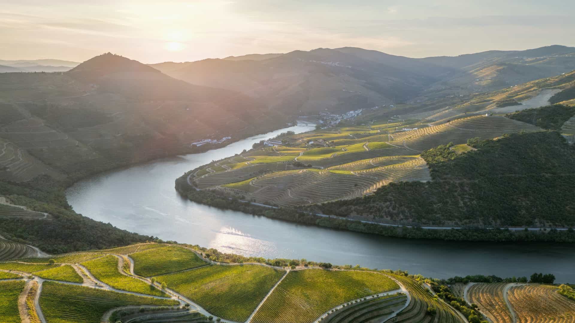 Sunset drone view of geometric terraced vineyards and rural roads above the Douro River in Portugal's Douro Valley.