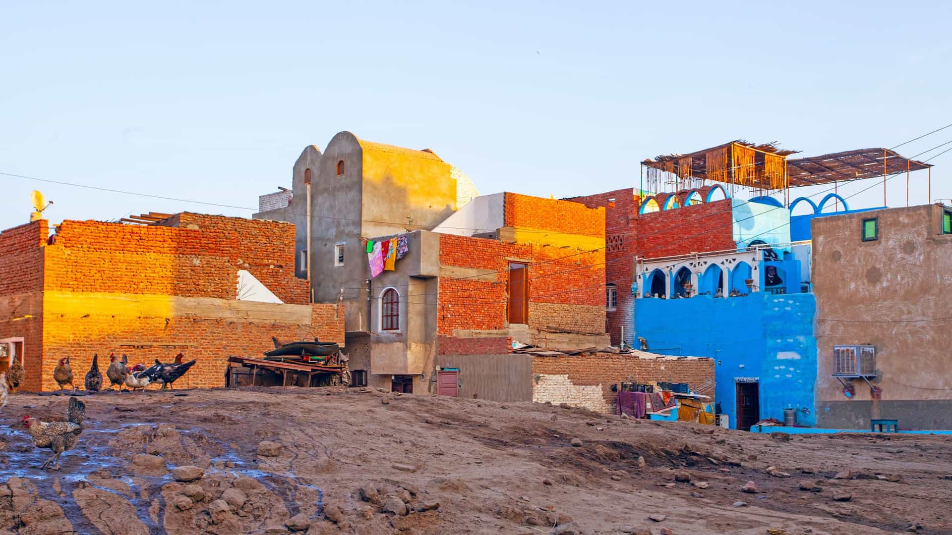 A view of a traditional village along the Nile River in Egypt. The houses are a mix of light-colored mud brick and brightly painted structures, with one prominent building painted a vibrant blue. Clothes are hanging out to dry on a rooftop. In the foreground, a group of chickens pecks at the dusty ground. The setting sun casts a golden light on the buildings, highlighting the rustic, authentic character of a residential area in the Egyptian Nile region.