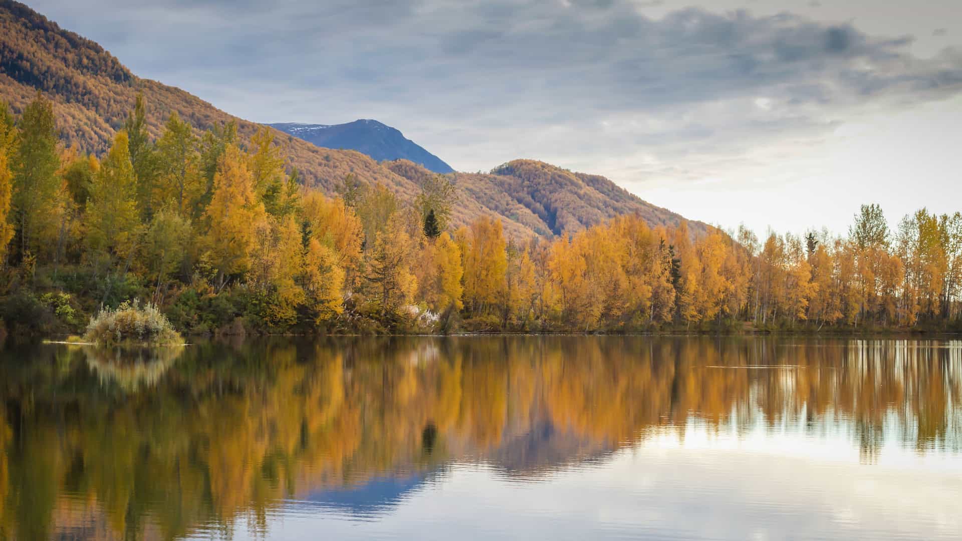 Fall foliage in Alaska.