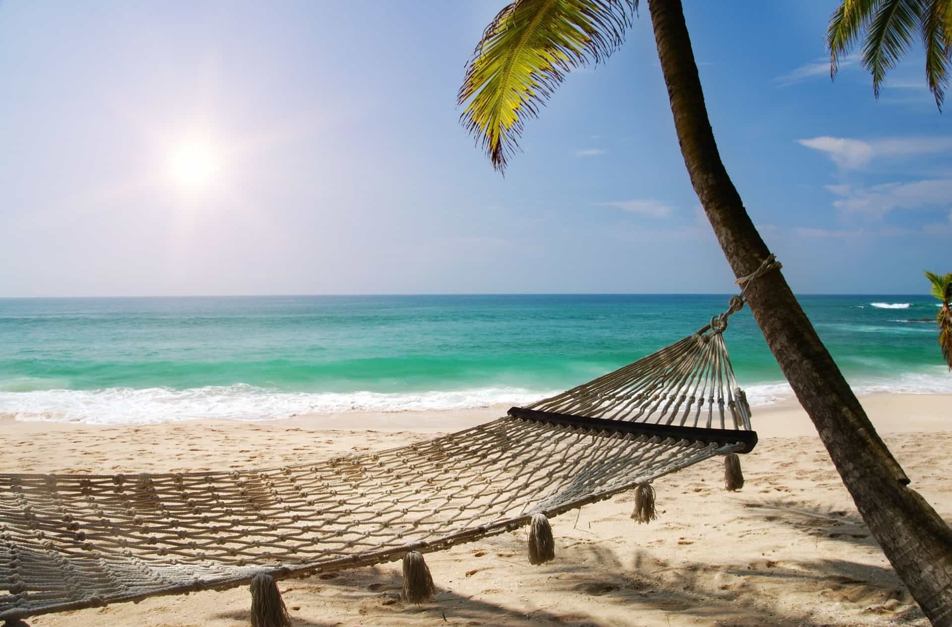 Hammock stretched between palm trees on the Caribbean beach