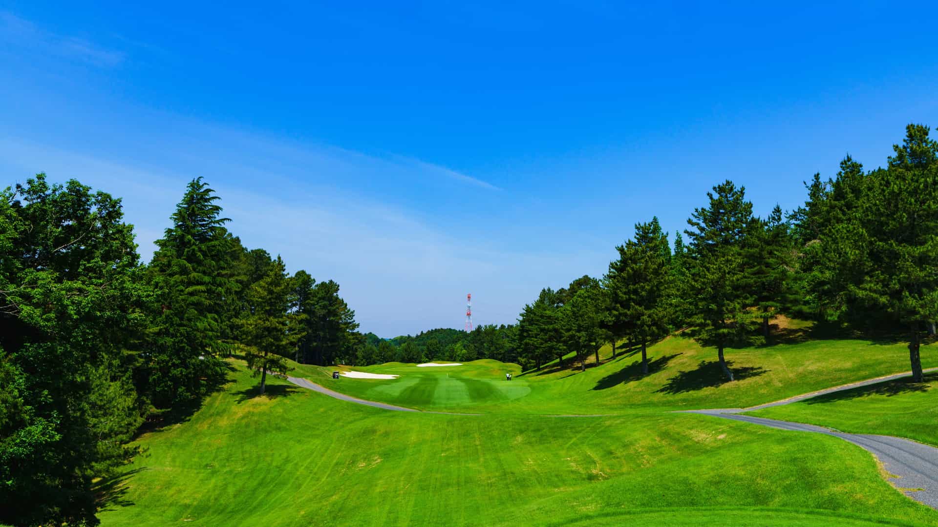 A meticulously manicured green fairway at Hanayashiki Golf Club in Kobe, Japan, lined with dense pine trees under a clear blue sky.