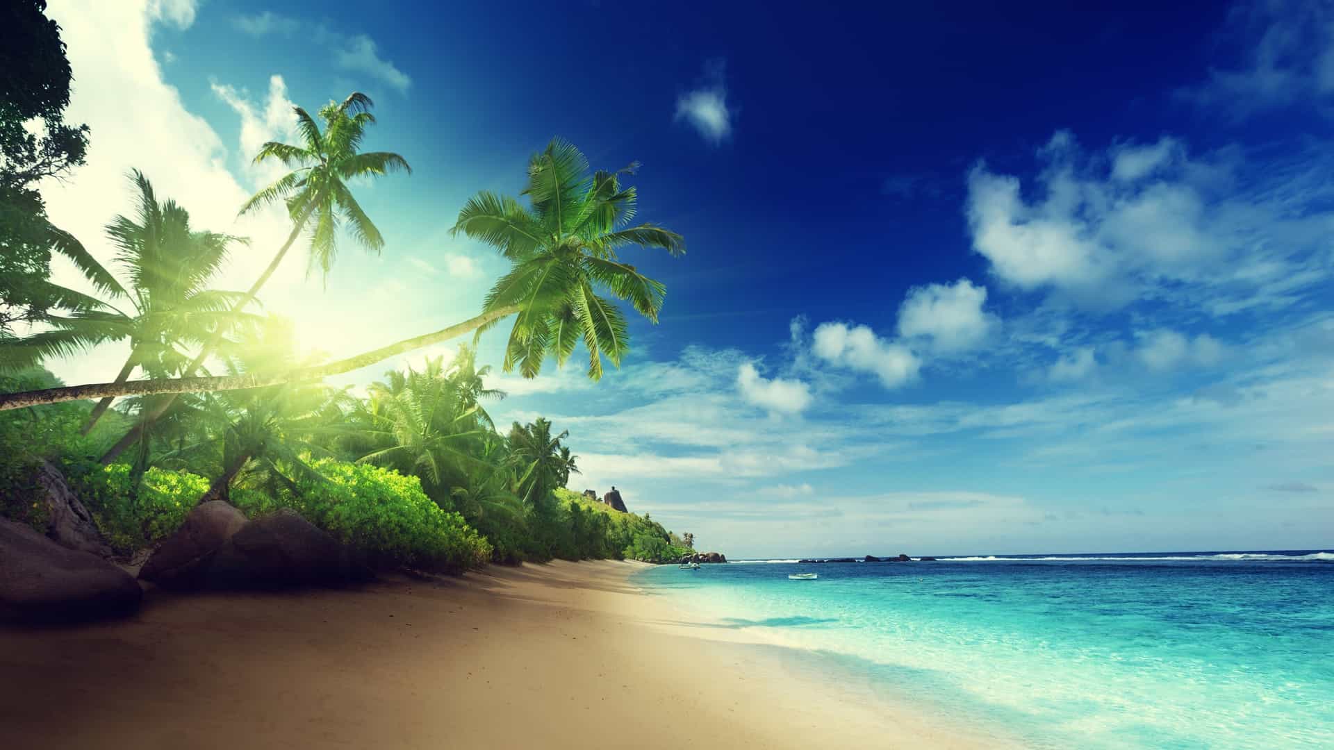 Tropical beach with granite boulders in Seychelles.