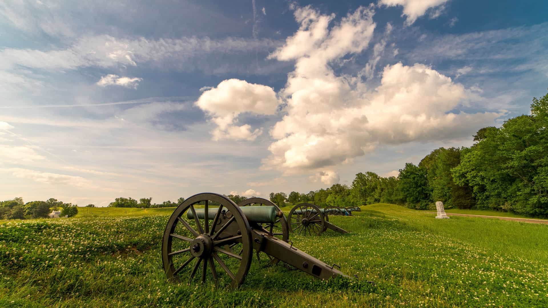 A low-angle view of a Civil War-era cannon on a grassy battlefield at the Vicksburg National Military Park in Mississippi. The cannon is made of black metal and sits on large wooden wheels. Several other cannons are visible in the background, set on a slight rise in the field. The ground is a vibrant green and covered with small white wildflowers. The sky is bright blue with large, dramatic white clouds. The image captures the historical and commemorative nature of this landmark along the Mississippi River.