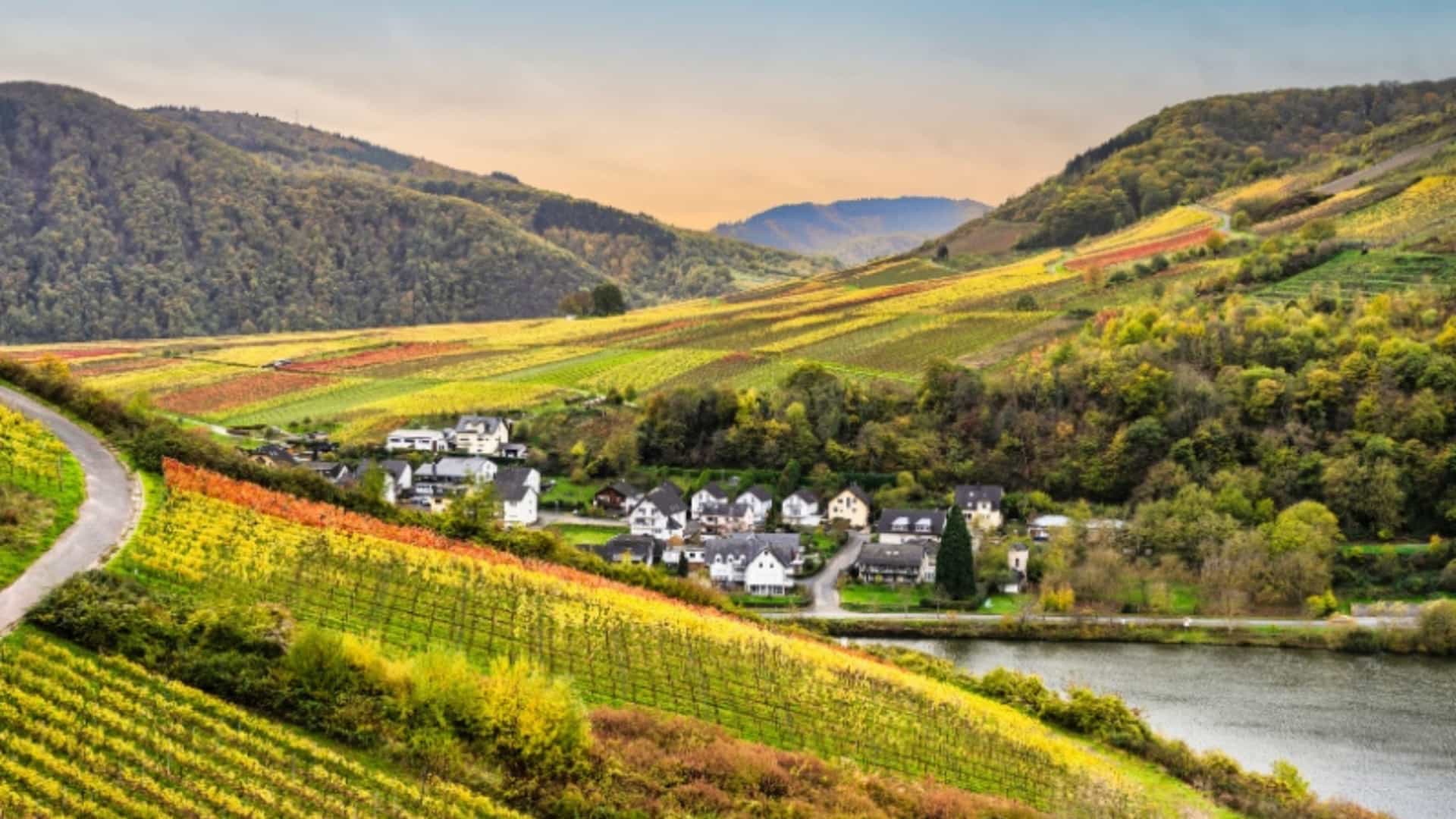 An elevated view of the small village of Bruttig-Fankel nestled in the Moselle River Valley of Germany. A winding road and terraced vineyards in a patchwork of green, yellow, and orange cover the hillsides that surround the village. The Moselle River flows alongside the settlement, and the hills stretch into the distance. The sky is a warm blend of blue and orange from the setting sun, creating a peaceful and scenic view of this German wine region.