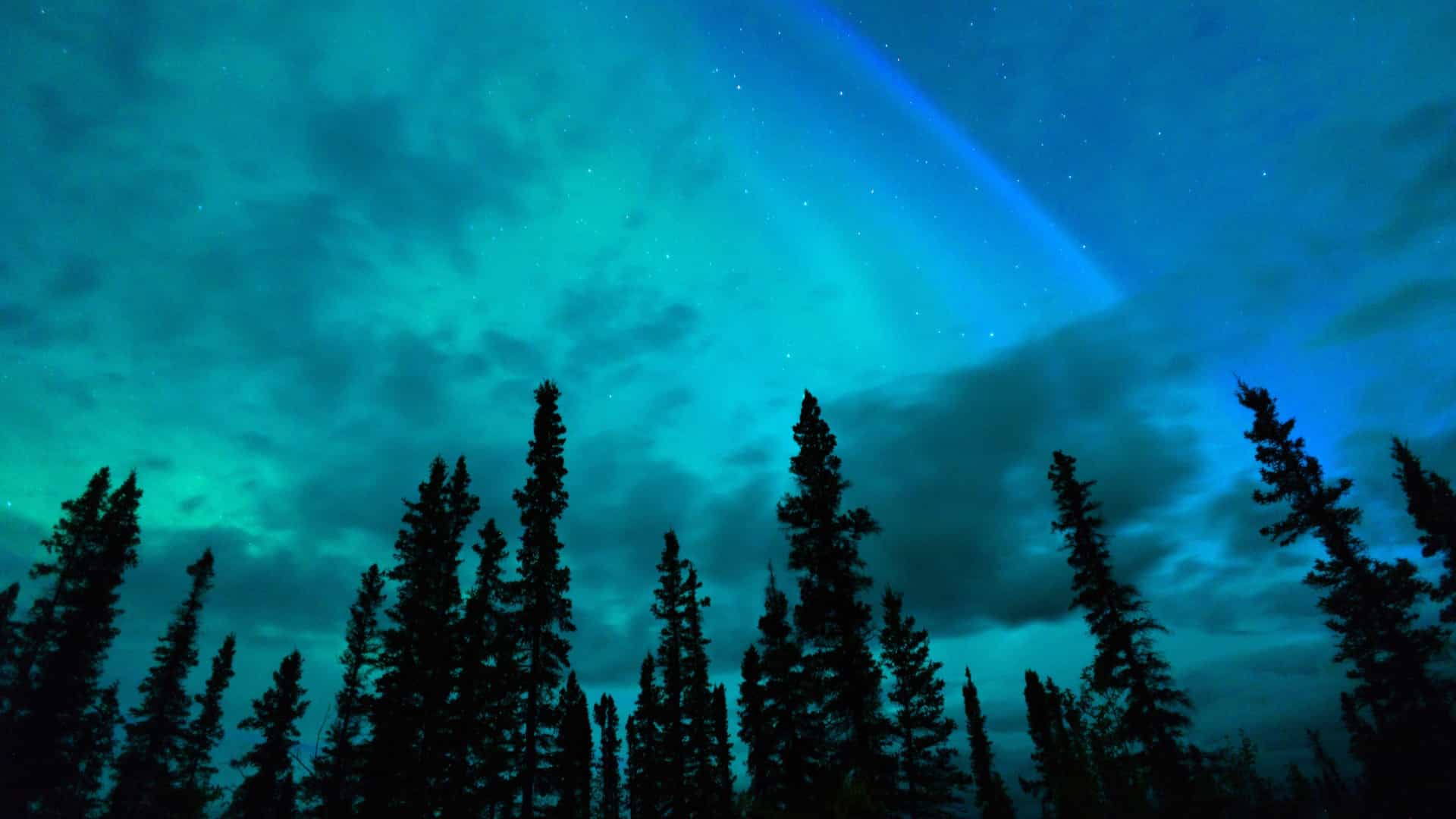 Northern lights in Alaska, USA.