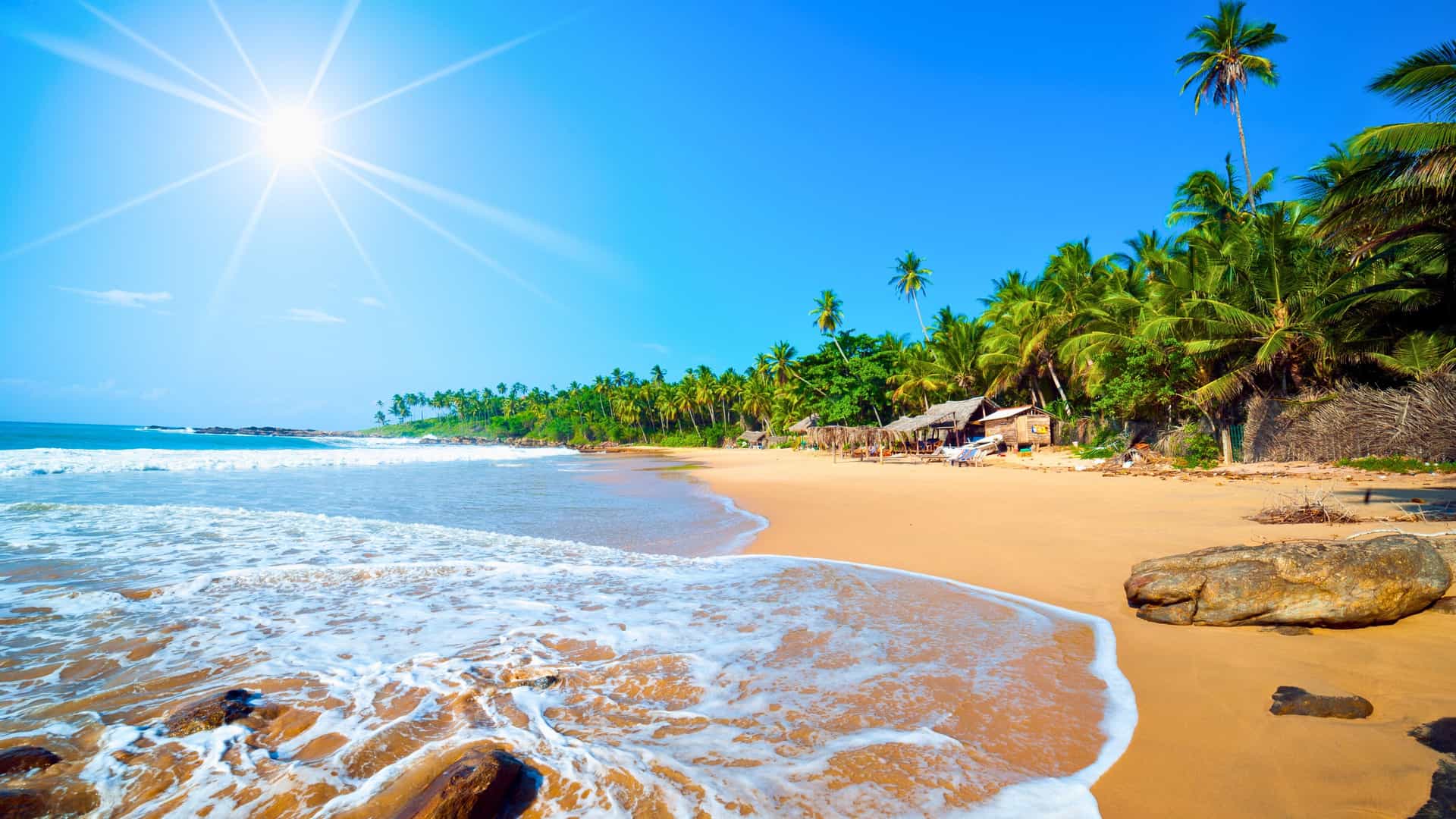 A scenic view of a classic Caribbean beach with palm trees, white sand, and turquoise water under a bright sun, a common sight on an Oceania cruise.