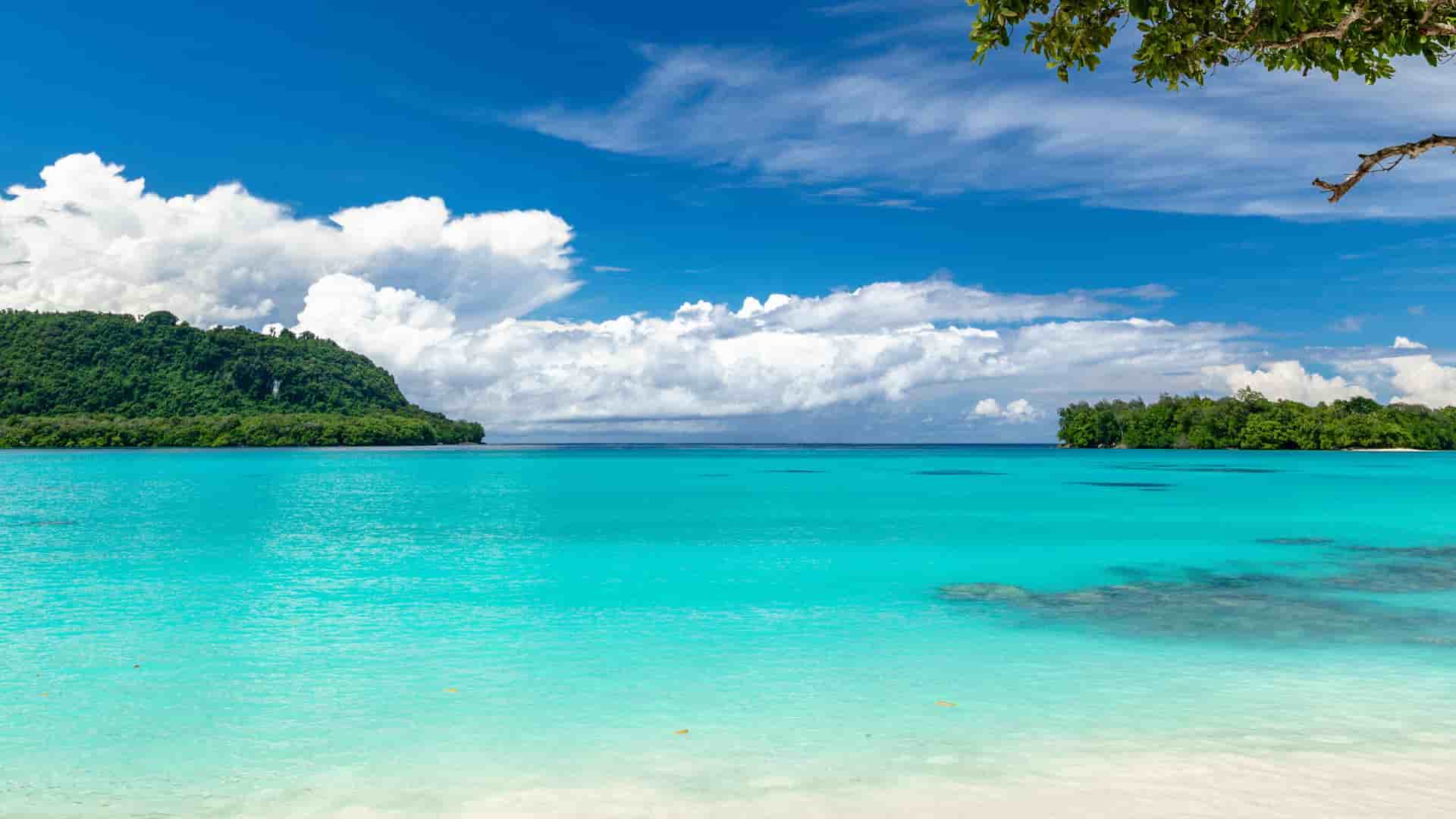 A white sand beach with bright turquoise waters in Vanuatu, located in the South Pacific.