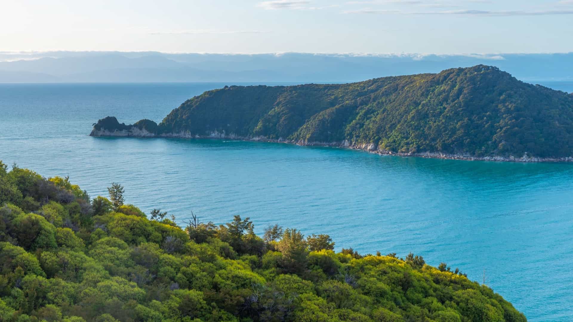 A panoramic view of Adele Island in New Zealand's Abel Tasman National Park, with lush green forest covering the coastline and blue water surrounding it.